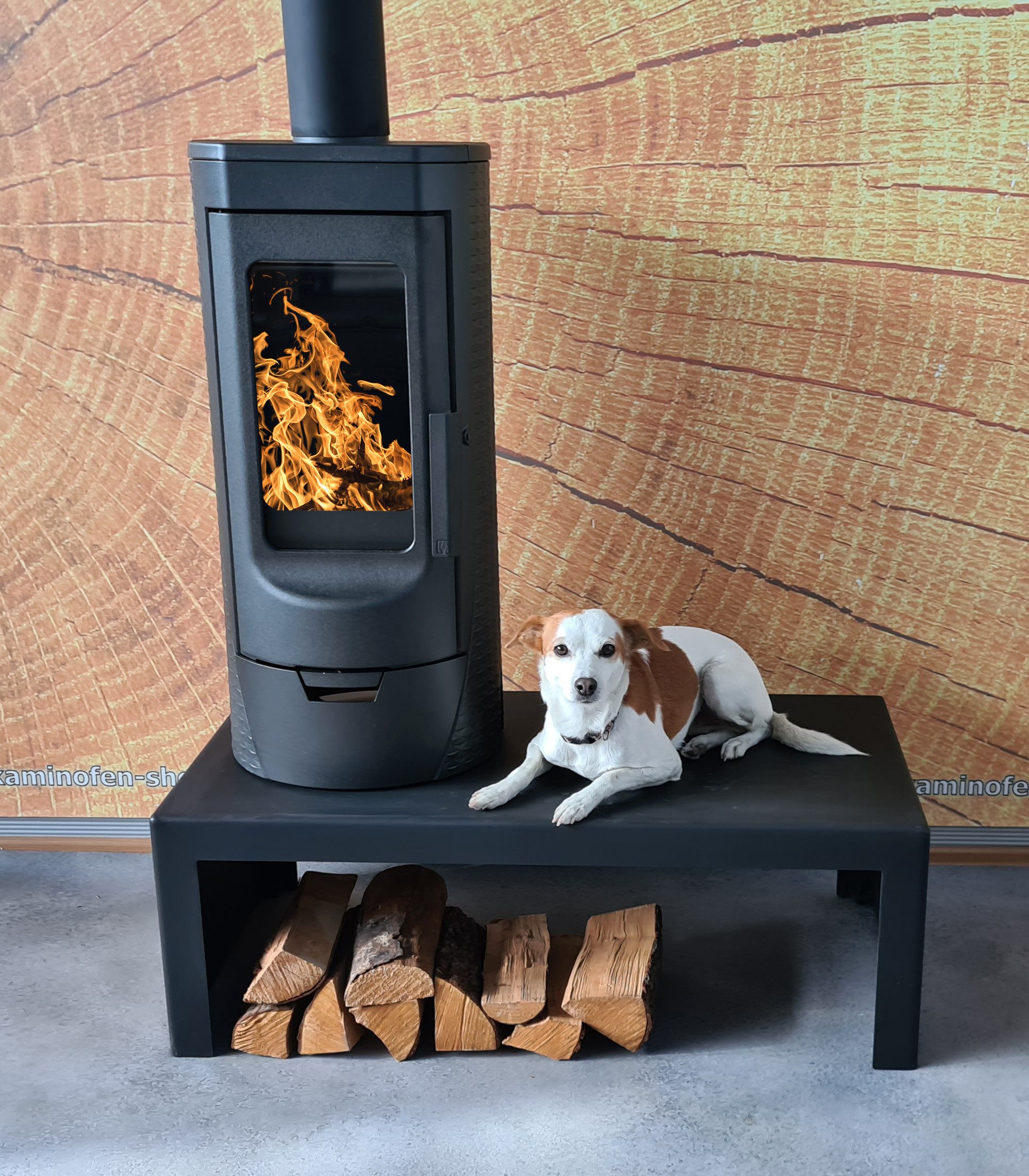 Plamen Kaminofen Plamen Tara - freistehender Holzofen aus Gusseisen, 6 kW günstig online kaufen