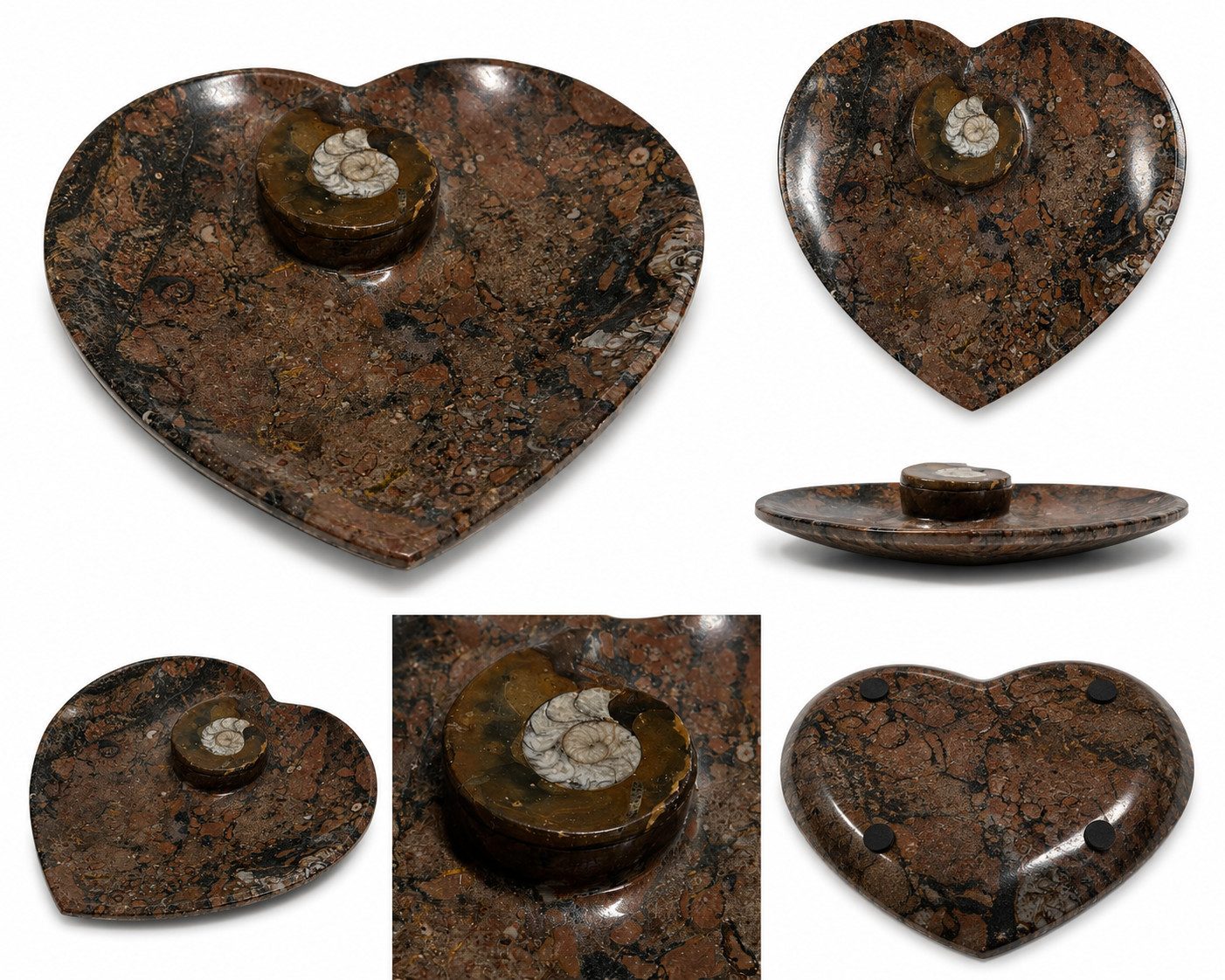 Nesbel - Spüren Sie die Reinheit? Dekoschale (1 St), Orthoceras Edelsteinschale versteinerte Tintenfischarme 15x11,5x2 cm