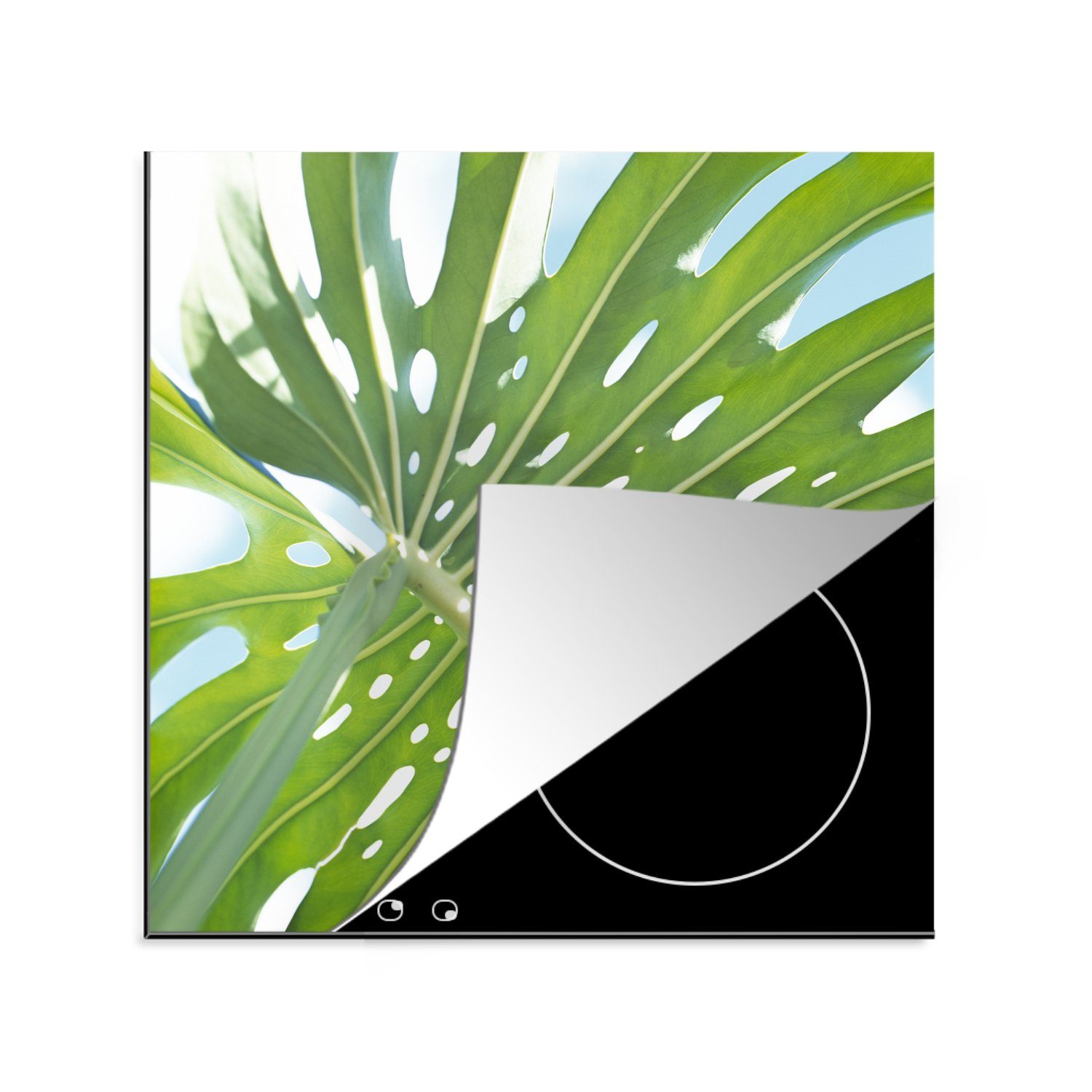 (1 küche Herdblende-/Abdeckplatte Ein cm, in 78x78 für botanisches Ceranfeldabdeckung, Arbeitsplatte Blatt Vinyl, grünes MuchoWow Sonne, der tlg),