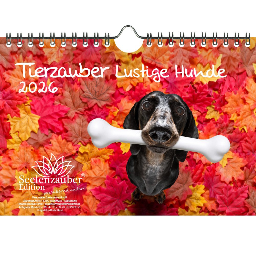 Seelenzauber Wandkalender Tierzauber Lustige Hunde DIN A5 Kalender für 2026 Welpen und Hunde