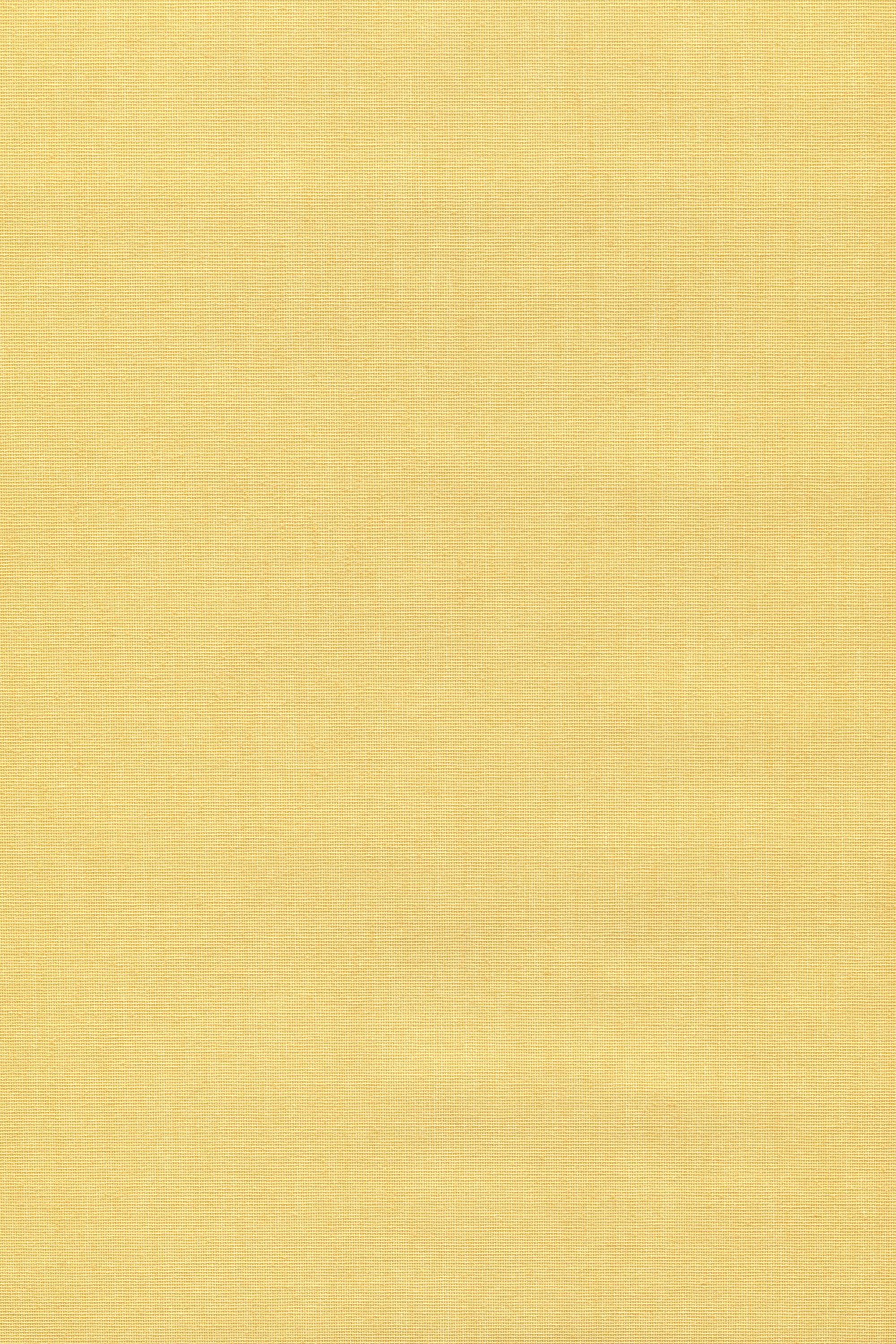 Rollo Basisrollo Tageslicht Pastellgelb, LYSEL®, blickdicht, HxB 175x122.5cm