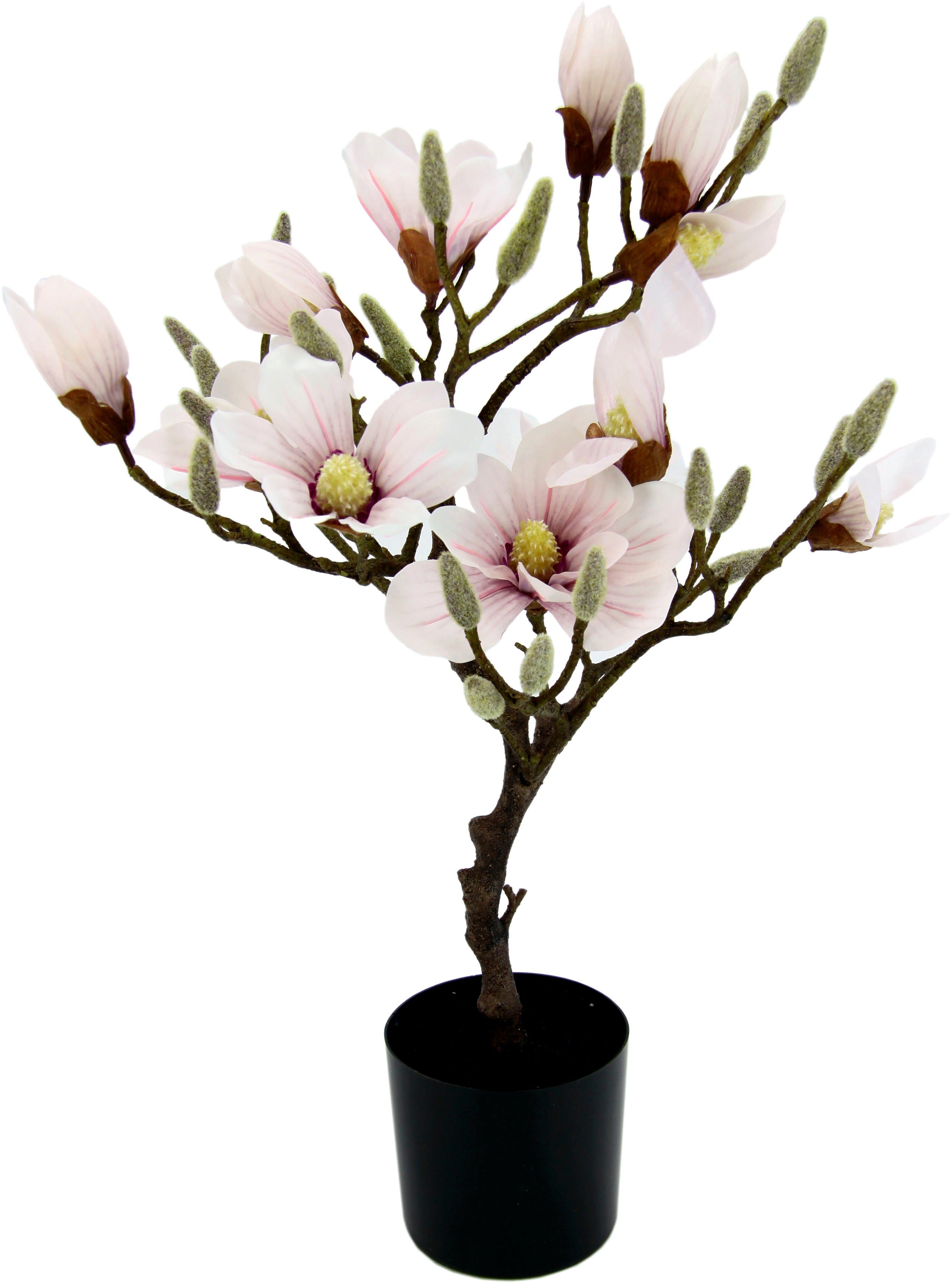 Kunstbaum Magnolienbaum, I.GE.A., Höhe 58 cm, im Kunststofftopf