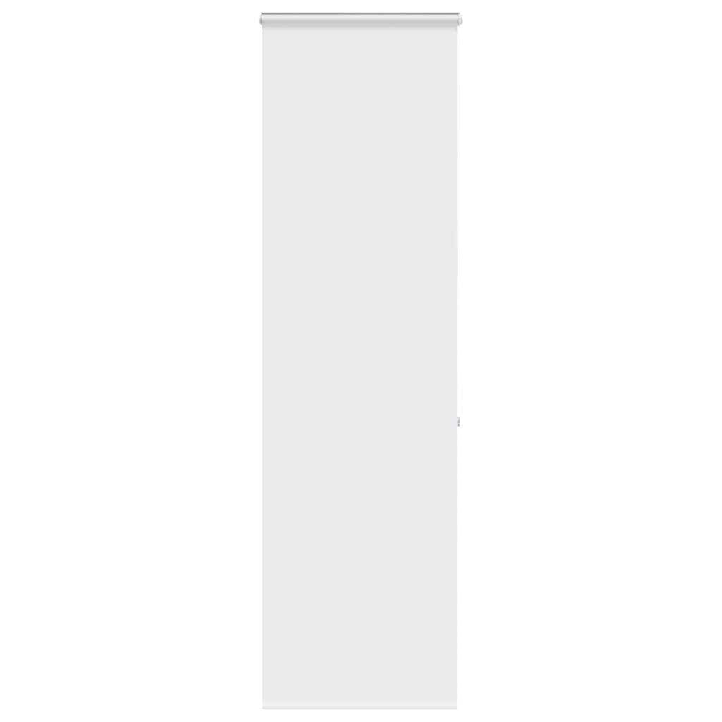 vidaXL Duschrollo, Duschrollo mit Kassette 70x240 günstig online kaufen