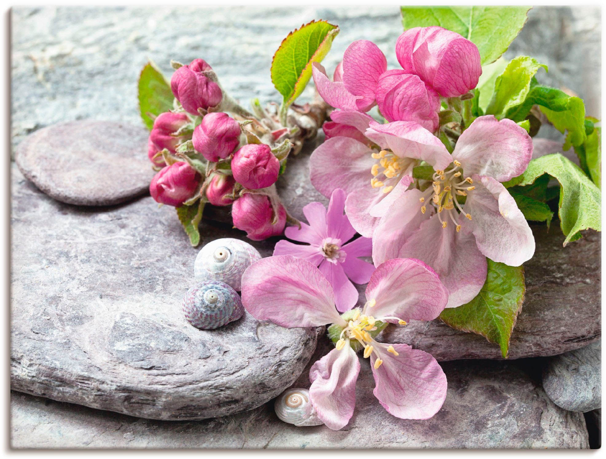 Artland Leinwandbild Apfelblüten, Blumen (1 St), auf Holzrahmen gespannt
