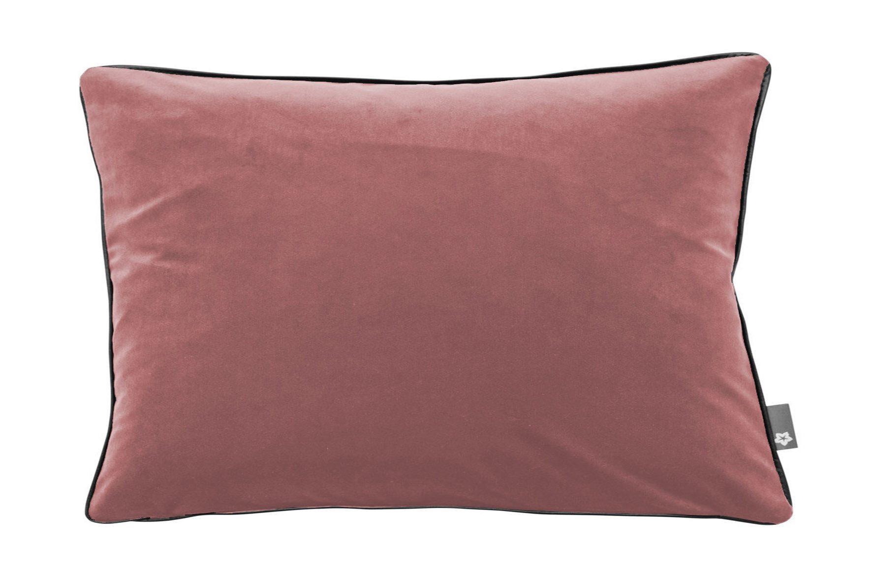 PICHLER Kissenhülle Samtkissen mit Keder uni Kissenhülle 2er Set 51 x 31 cm SALON Rechtec, (2 Stück), Kissenbezug für Dekokissen Zierkissen Kissenhülle