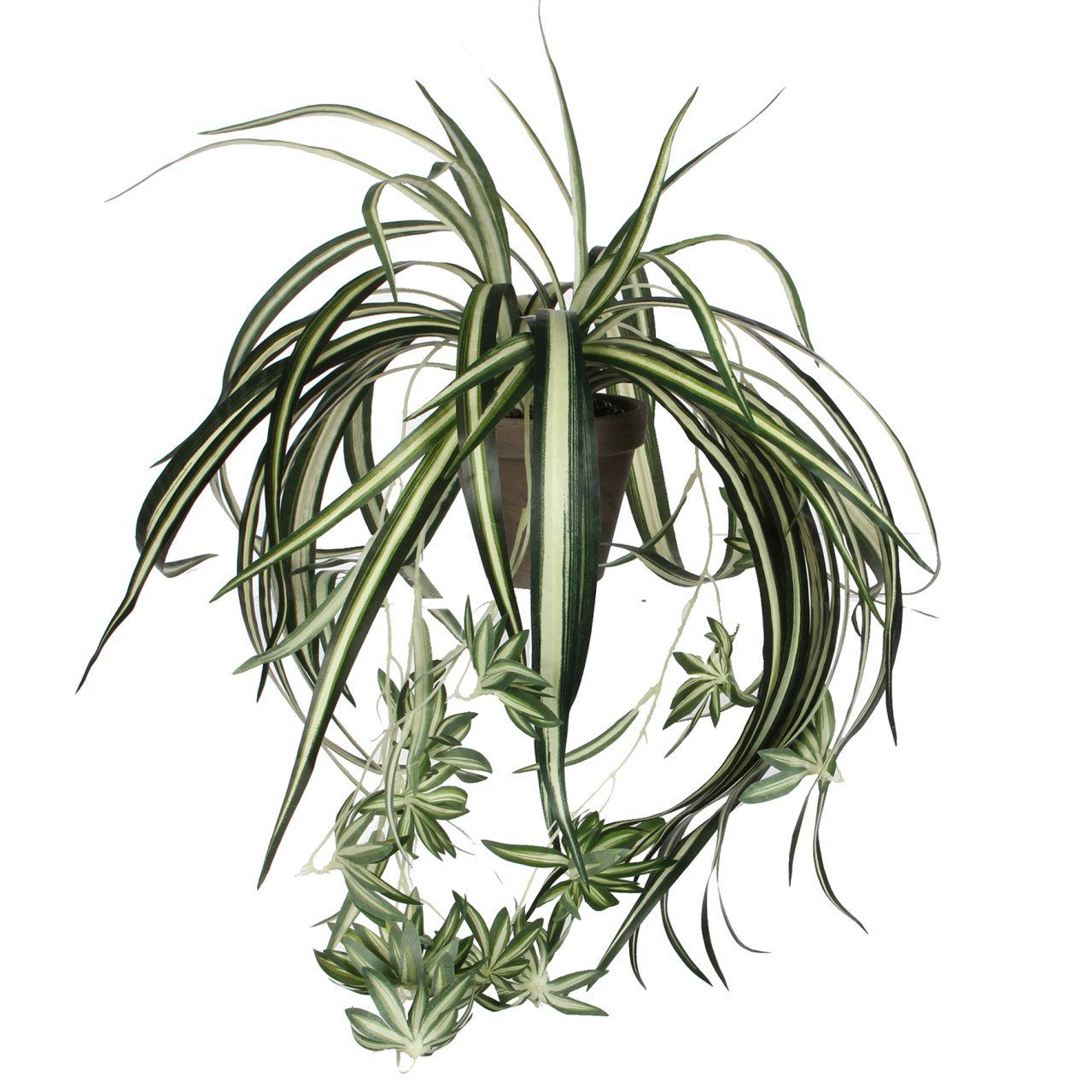 Kunstpflanze Mica Chlorophytum im Topf grün, 45 x 45 cm