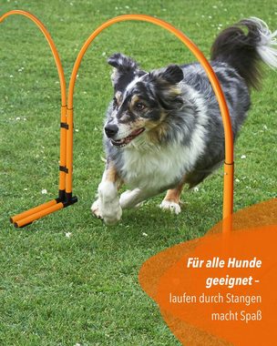 Superhund Agility-Slalom Hoopers Slalom in Orange mit Bogen in Farbe Blau, Kunststoff