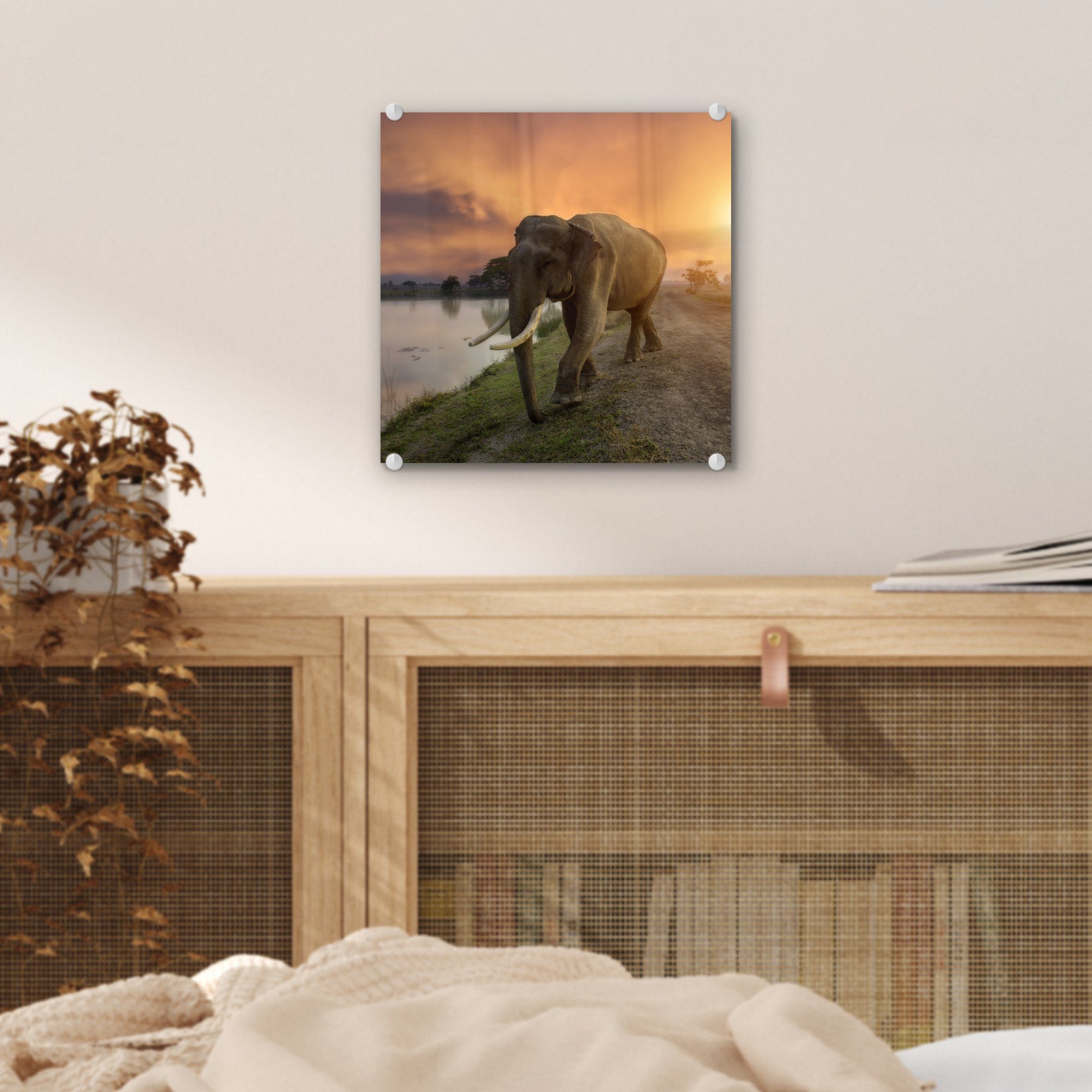 MuchoWow Acrylglasbild Sonnenuntergang (1 Wandbild Elefant Foto Wanddekoration Bilder - Glas Glas - auf St), Natur, Wasser - Glasbilder - Tiere - - - auf