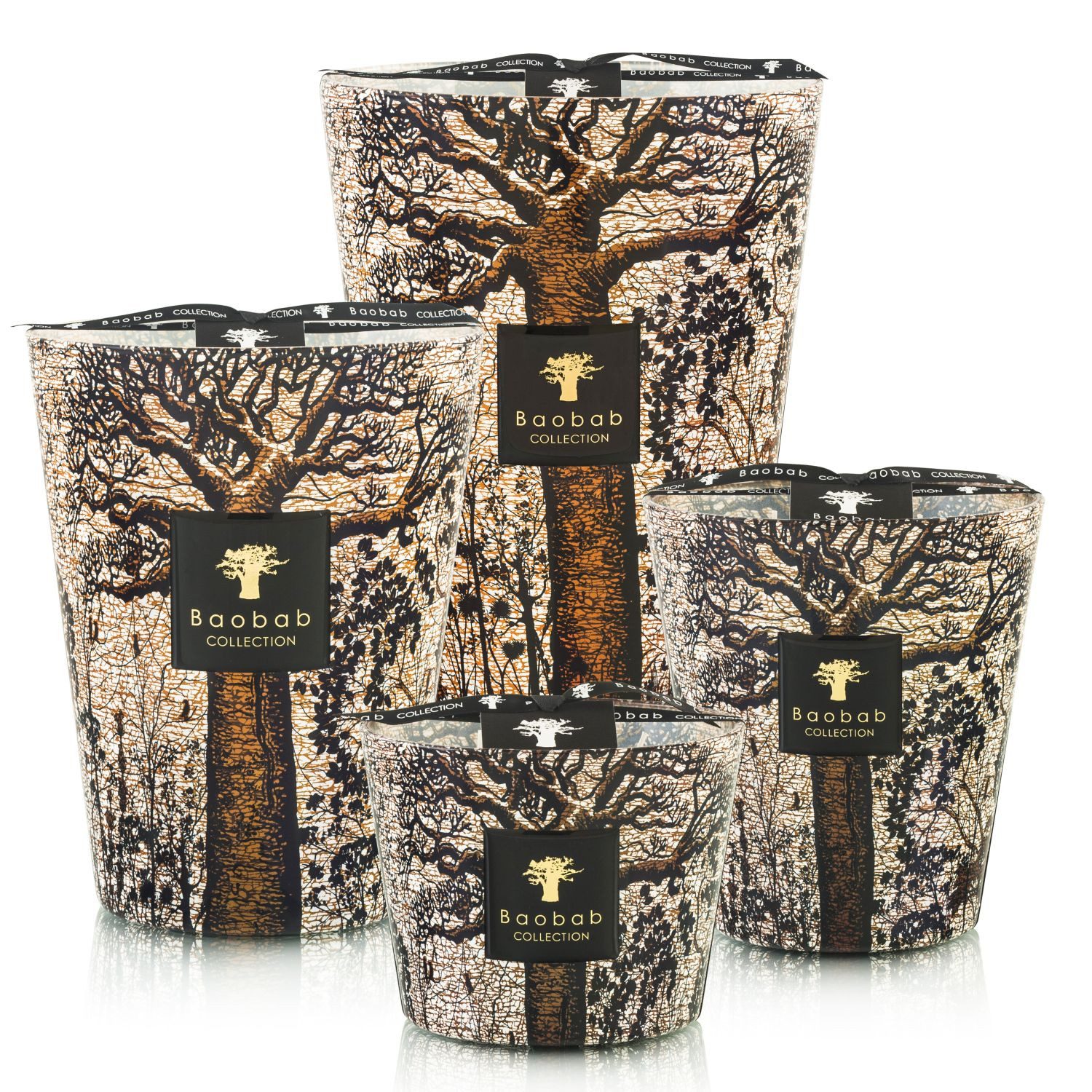 Baobab Duftkerze Max 10 Sacred Trees Morondo (1-tlg)