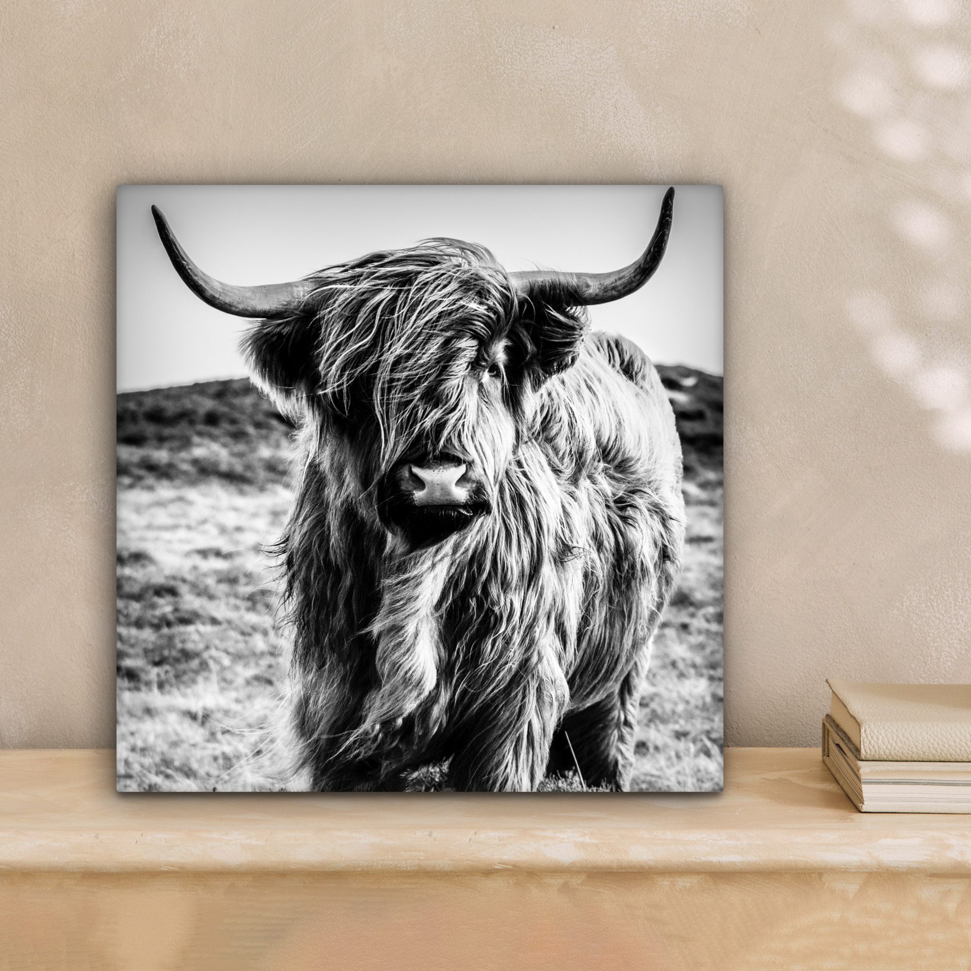 OneMillionCanvasses® Leinwandbild Schottischer Highlander - Natur - Kuh - S günstig online kaufen