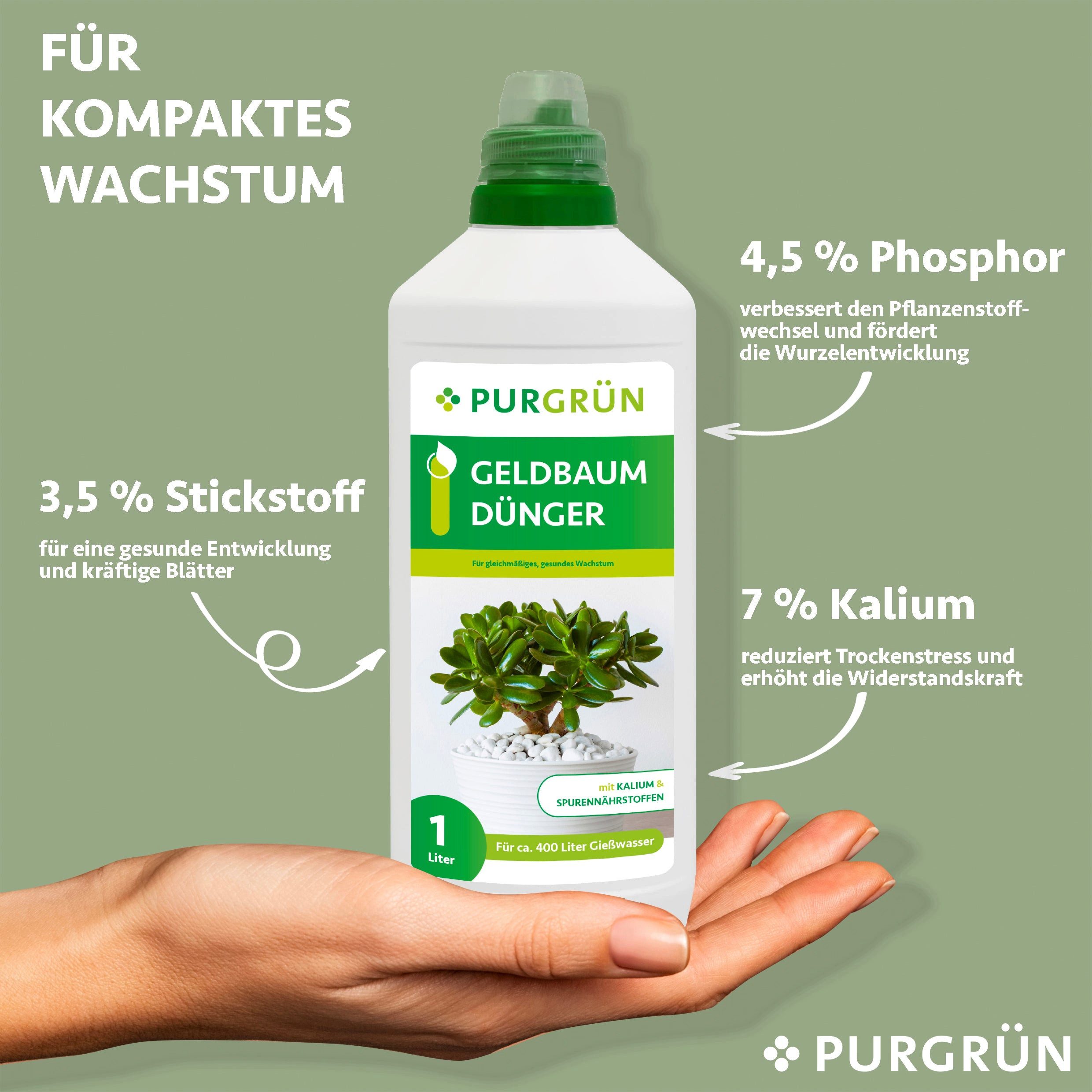 Purgrün Universaldünger Purgrün Geldbaum Dünger, NPK günstig online kaufen