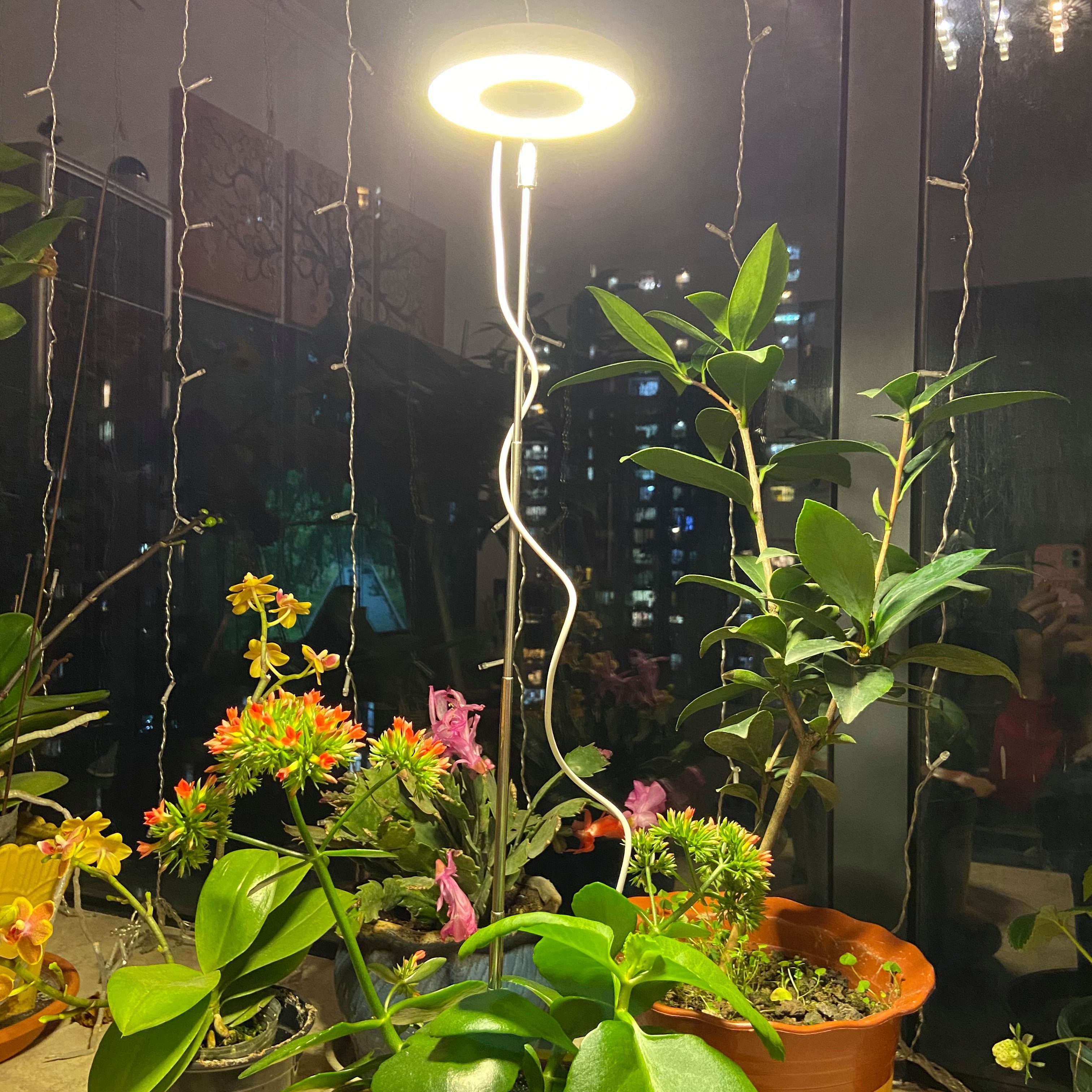 Wachstumslampe, LED Vollspektrum,Sonnenlicht, Timer, Sunicol Zimmerpflanzen Pflanzenlampe einstellbar Höhe dimmbar, USB,