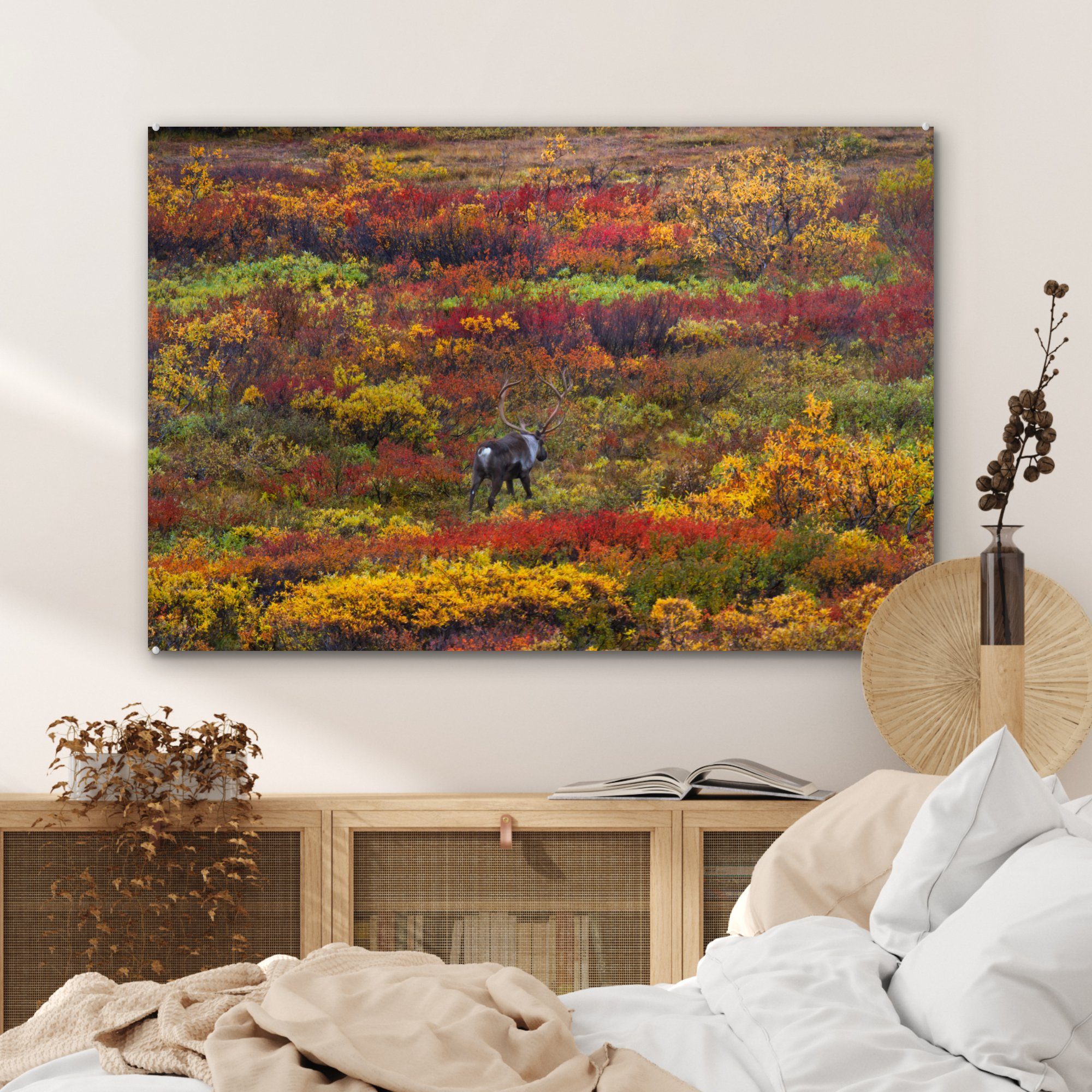 Herbst, im Tundra auf MuchoWow St), Rentiere & einer Acrylglasbild Wohnzimmer Acrylglasbilder (1 Schlafzimmer