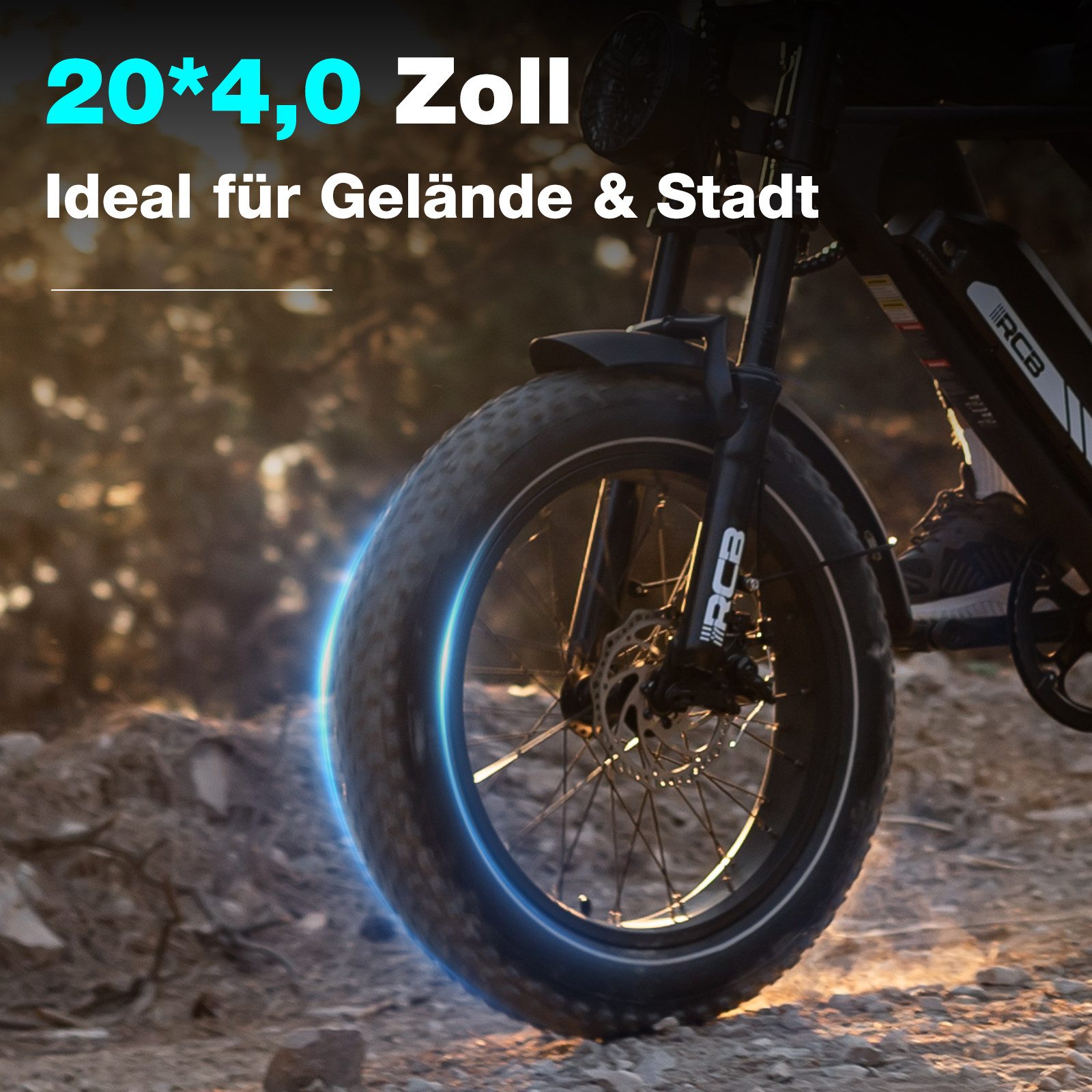 RCB E-Bike RK29 Elektrofahrrad,APP,20x4,0 Zoll Mountainbike,40-60KM,Schloss&Pumpe, Heckmotor, 624 Wh