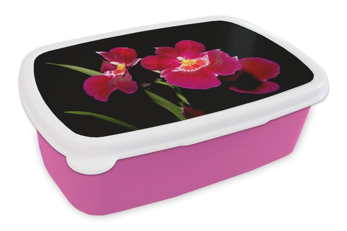 MuchoWow Lunchbox Rote Orchideen vor einem schwarzen Hintergrund, Kunststoff, (2-tlg), Brotbox für Erwachsene, Brotdose Kinder, Snackbox, Mädchen, Kunststoff rosa