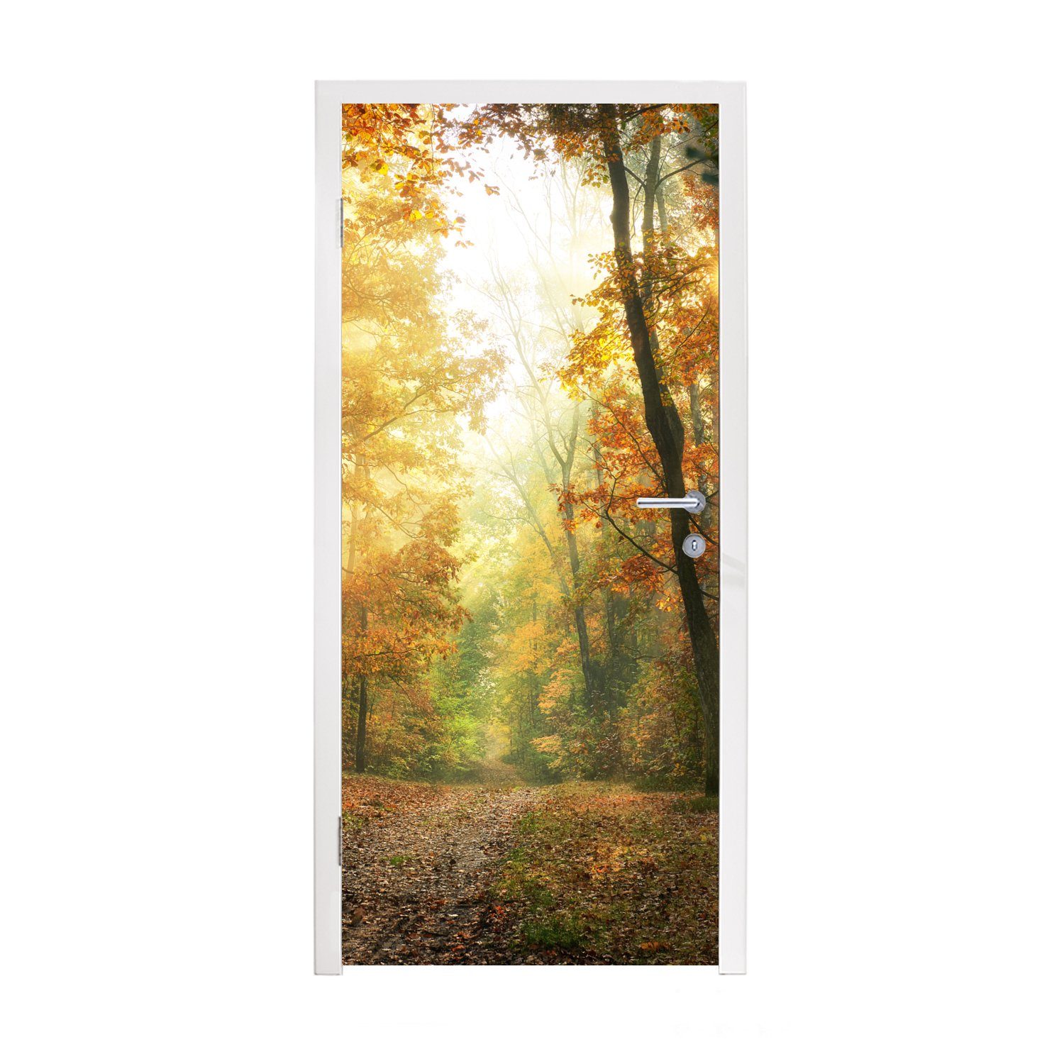 MuchoWow Türtapete Wald - Herbst - Sonne - Landschaft - Natur - Bäume - Laub, Matt, bedruckt, (1 St), Fototapete für Tür, Türaufkleber, 75x205 cm