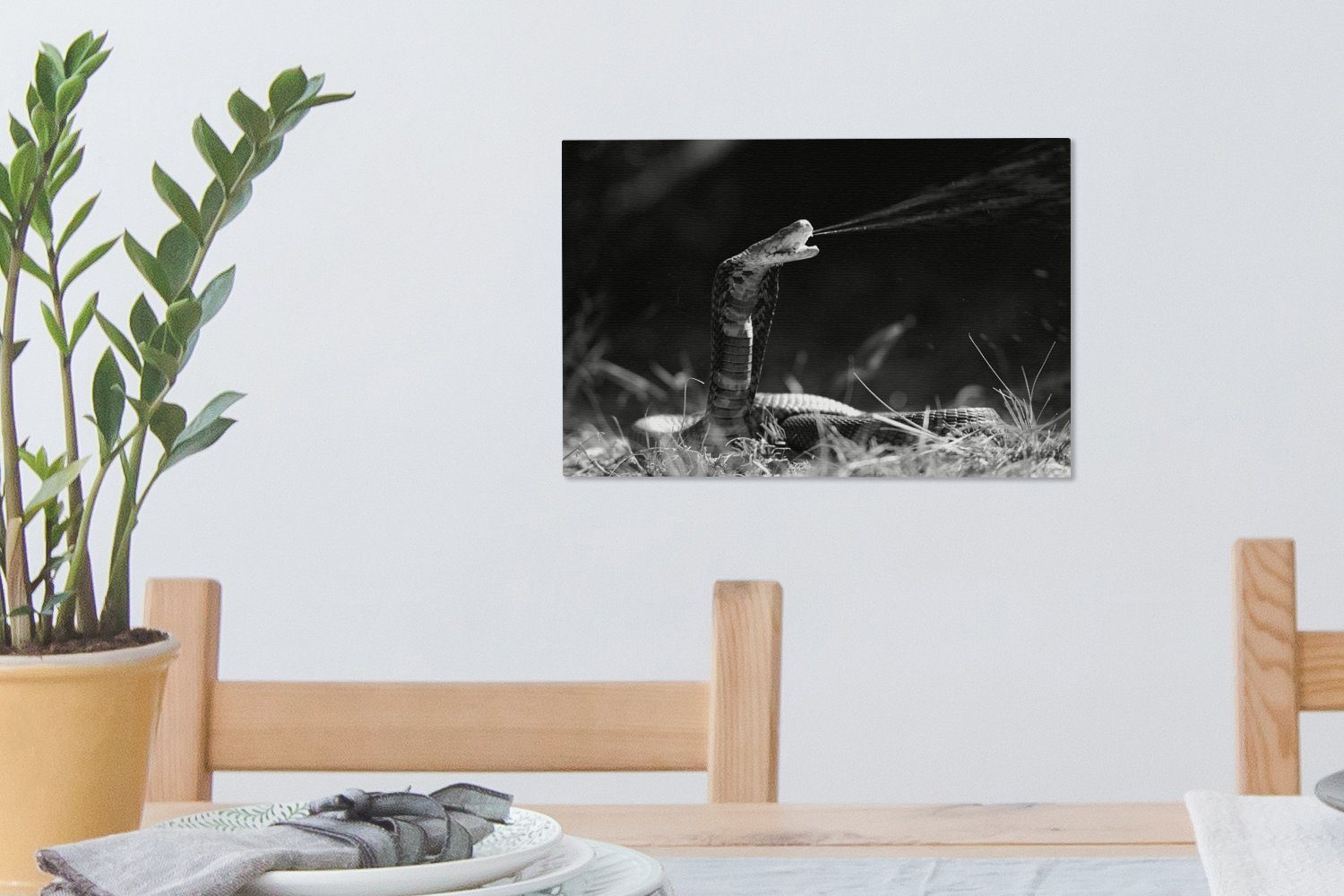 Wandbild in OneMillionCanvasses® - Leinwandbilder, schwarz Eine Leinwandbild Mosambik cm Aufhängefertig, 30x20 Schlange Gift und versprüht weiß, Wanddeko, (1 St),
