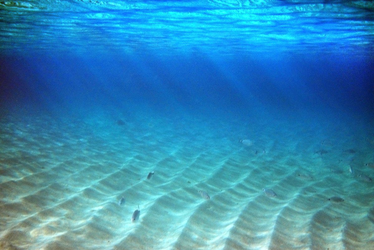 Papermoon Fototapete Meeresboden