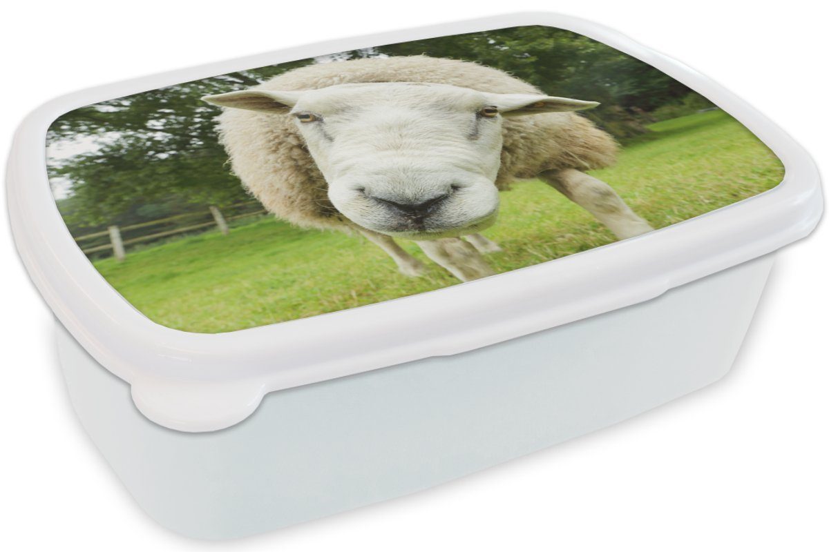 Brotbox - Wiese Jungen und Jungs und Kinder Mädchen Schaf - - Kunststoff, Kind, für Mädchen Erwachsene, Kinder - Brotdose, Lustig - Lunchbox MuchoWow für weiß (2-tlg), -