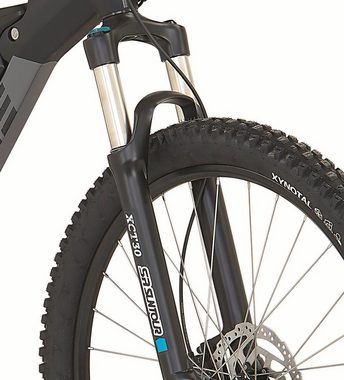 Prophete E-Bike Prophete DICE 4.8, 10 Gang Shimano Deore XT Schaltwerk, Kettenschaltung, Mittelmotor, 672 Wh Akku, Pedelec, Elektrofahrrad für Herren, MTB, Mountainbike