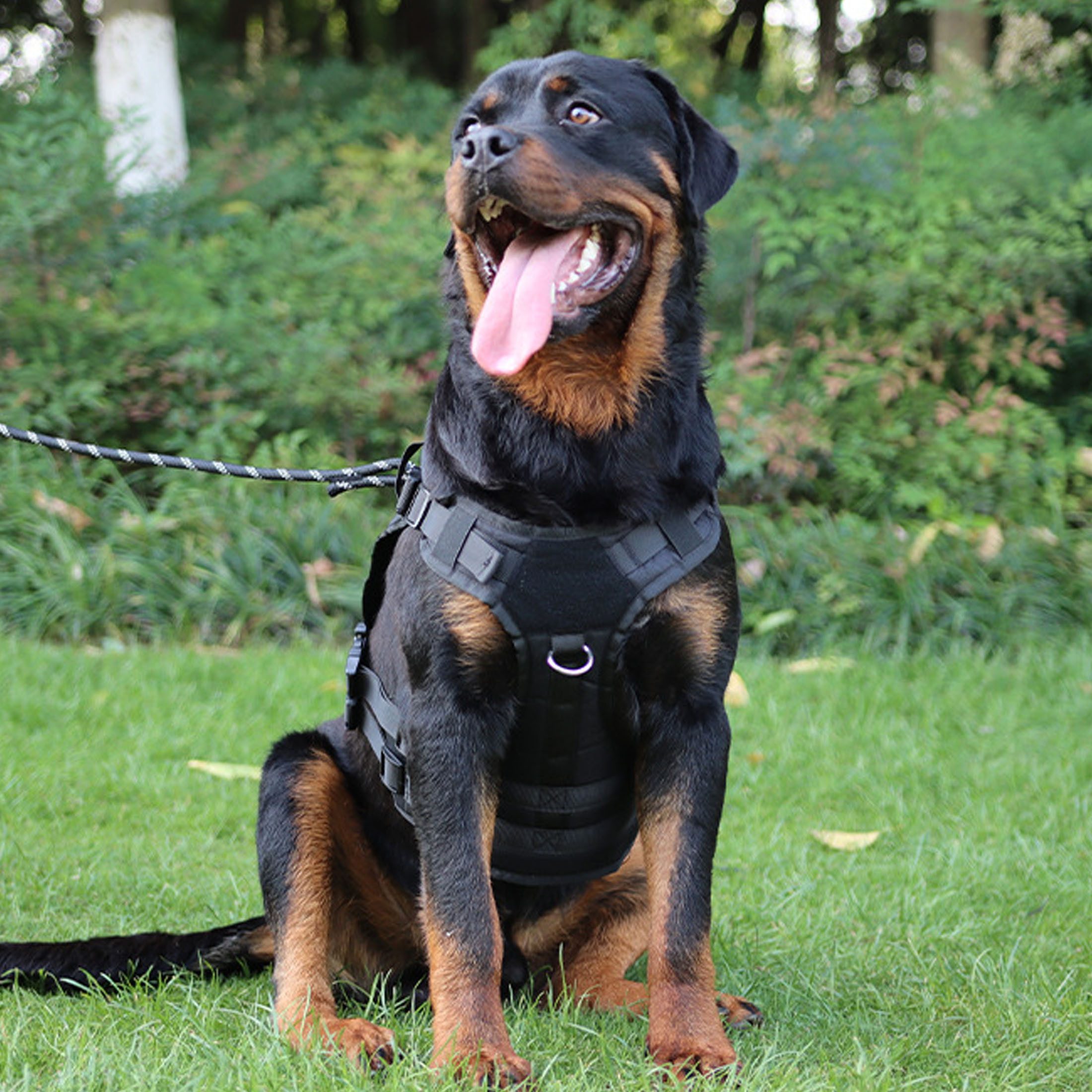 YINDN Hunde-Geschirr Hundegeschirre mit Gummigriff, Sicherheitsgeschirr günstig online kaufen