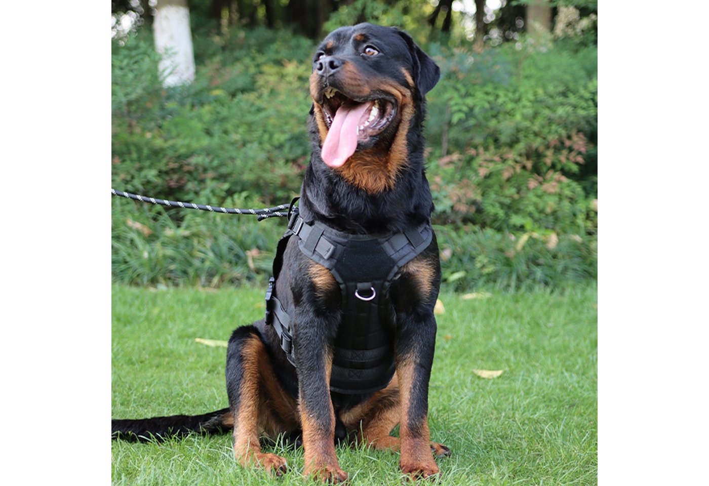 Thumbnail - YINDN Hunde-Geschirr Hundegeschirre mit Gummigriff, Sicherheitsgeschirr von 20-30 kg, Brustgeschirr mit Schnalle, Kann W...