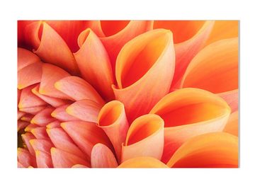 wandmotiv24 Leinwandbild Blume Blüte orange Chrysantheme, Blumen und Pflanzen (1 St), Wandbild, Wanddeko, Leinwandbilder in versch. Größen