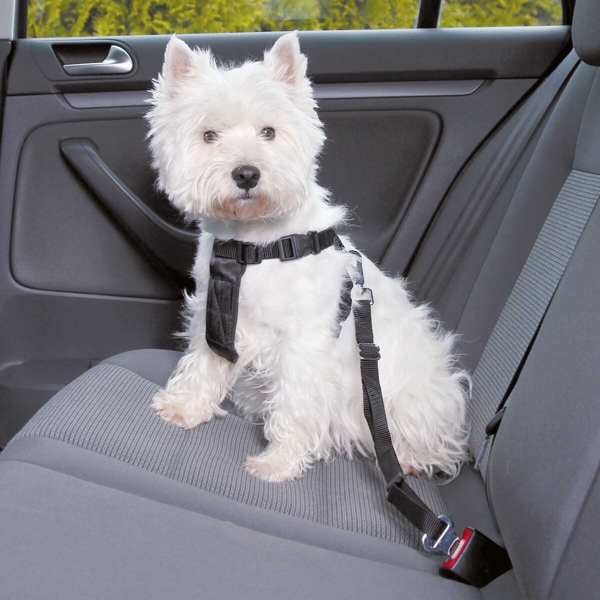 TRIXIE Autohundegeschirr Auto-Geschirr - schwarz - 20–50 cm/15 mm