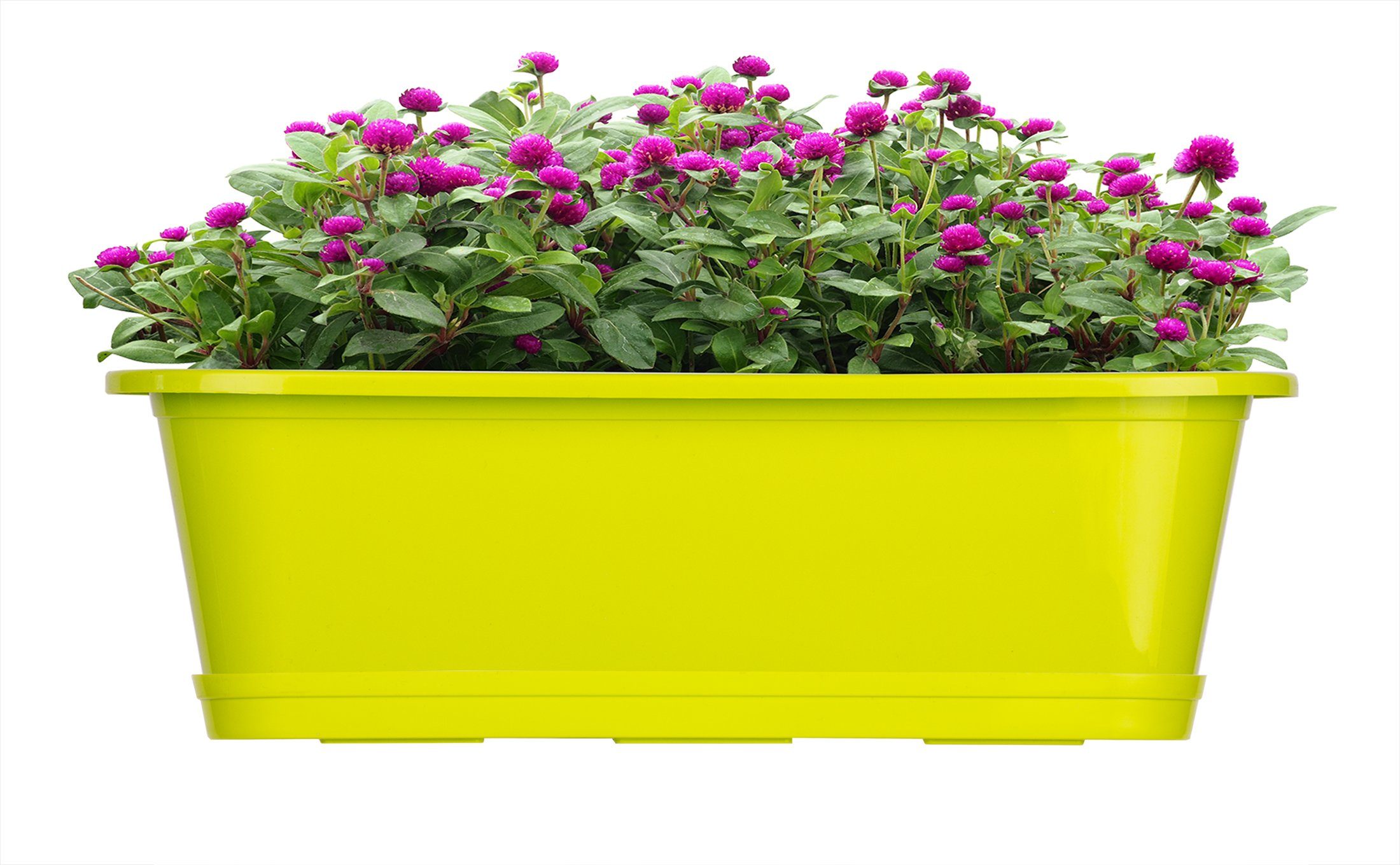 BigDean Blumenkasten für den Balkon - 3x Balkonkasten 40 cm Lime mit Untersetzer (3 St)