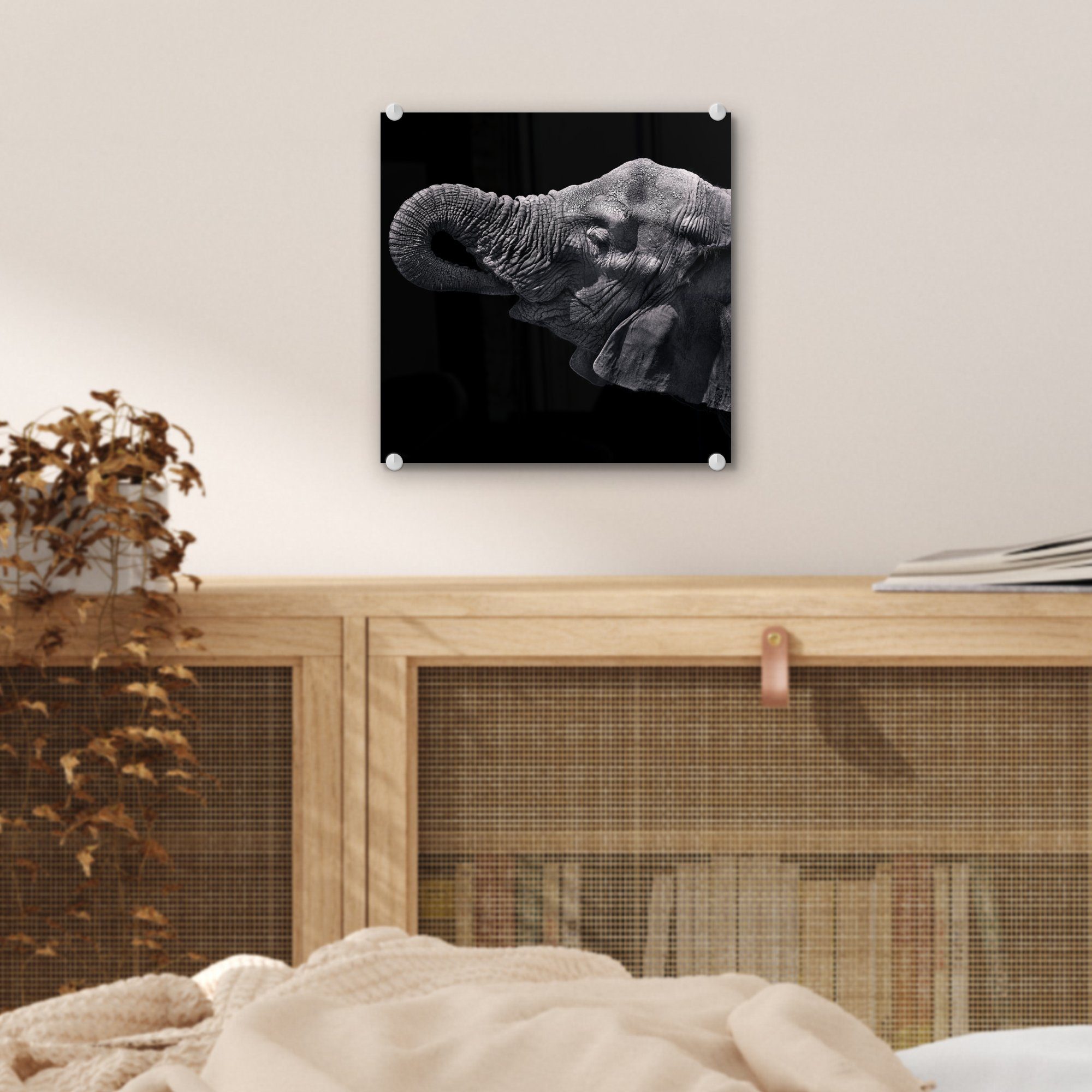 Wanddekoration (1 Natur, Tiere Elefant - Glas - auf Acrylglasbild St), - Bilder MuchoWow - - Glasbilder - Wandbild Glas Schwarz Foto auf