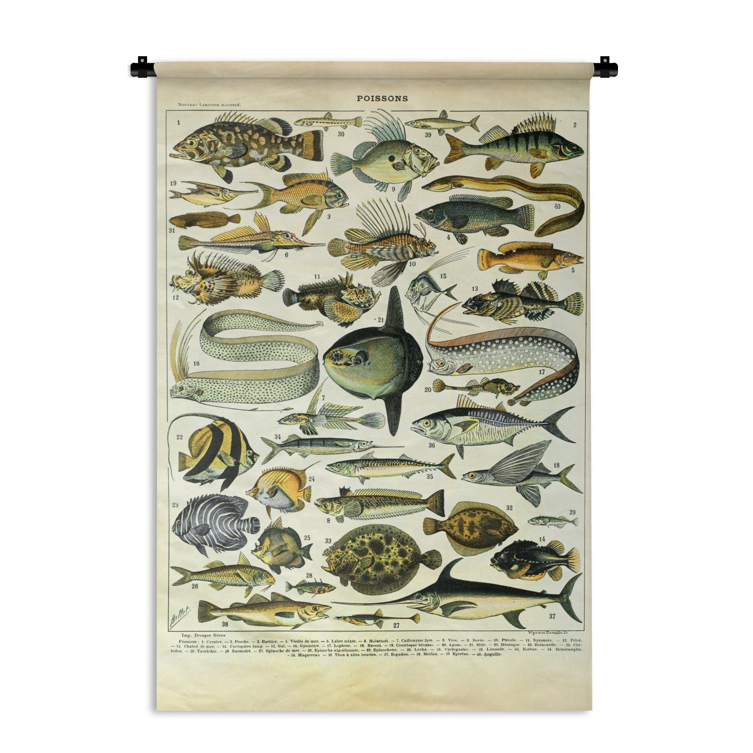 MuchoWow Wanddekoobjekt Adolphe Millot - Kunst - Vintage - Fische - Tiere, Wanddeko für Wohnzimmer, Schlafzimmer, Kleid, Wandbehang, Kinderzimmer