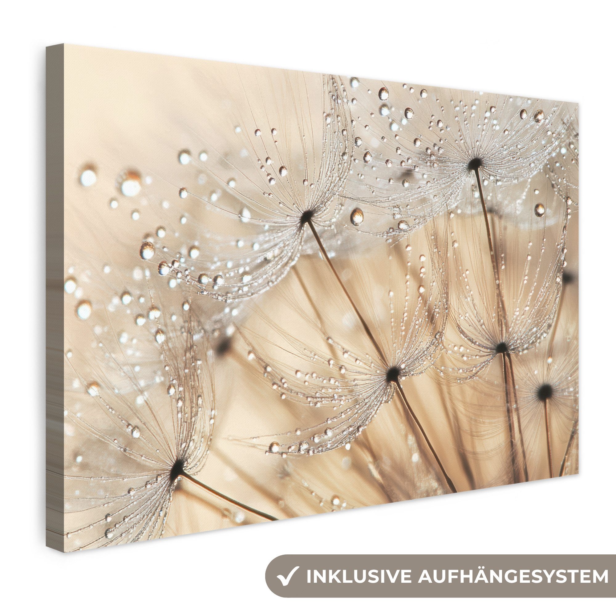 OneMillionCanvasses® Leinwandbild Löwenzahn - Abstrakt - Natur - Beige, Fotodruck (1 St), Leinwand Bilder Klein, Wand Dekoration Aesthetic 30x20 cm