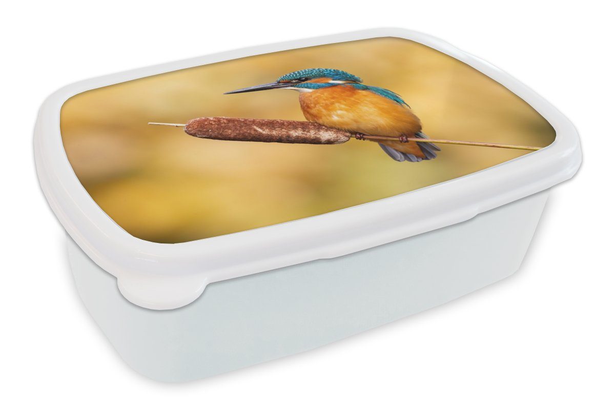 MuchoWow Lunchbox Eisvogel - weiß Mädchen Brotbox Jungs Vogel, - Natur Erwachsene, (2-tlg), Kinder Kunststoff, und und für Brotdose, für