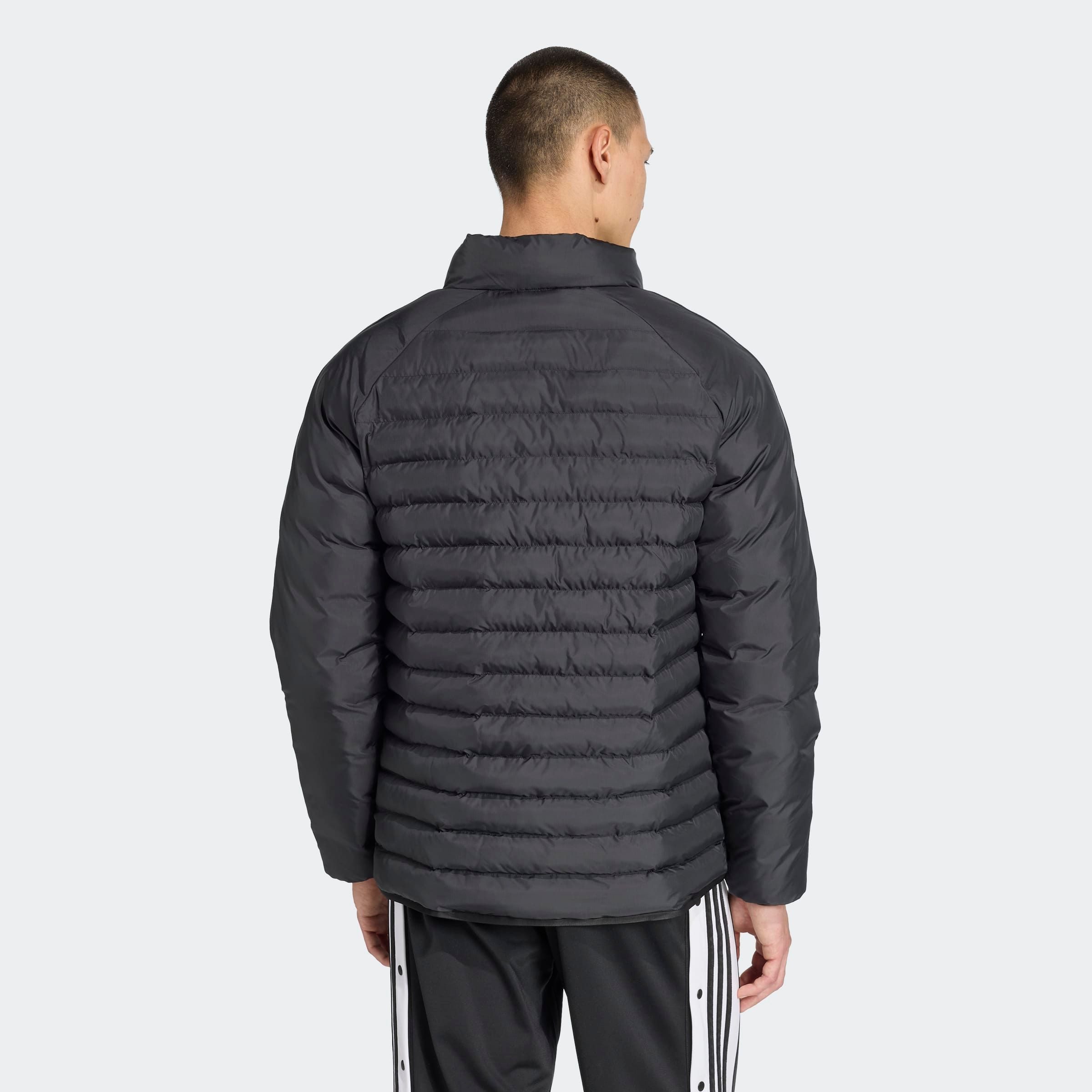 adidas Originals Steppjacke PADDED COLL JKT günstig online kaufen