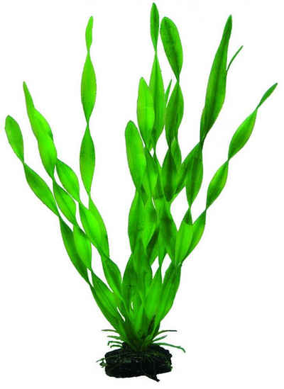 HOBBY Aquariendeko Hobby Vallisneria 34 cm künstliche Pflanze
