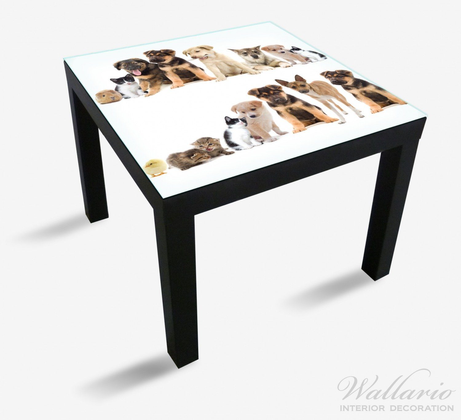 (1 Haustiere Tisch Ikea Tischplatte St), - Süße geeignet Küken für Katzen Wallario Lack Hunde Hamster