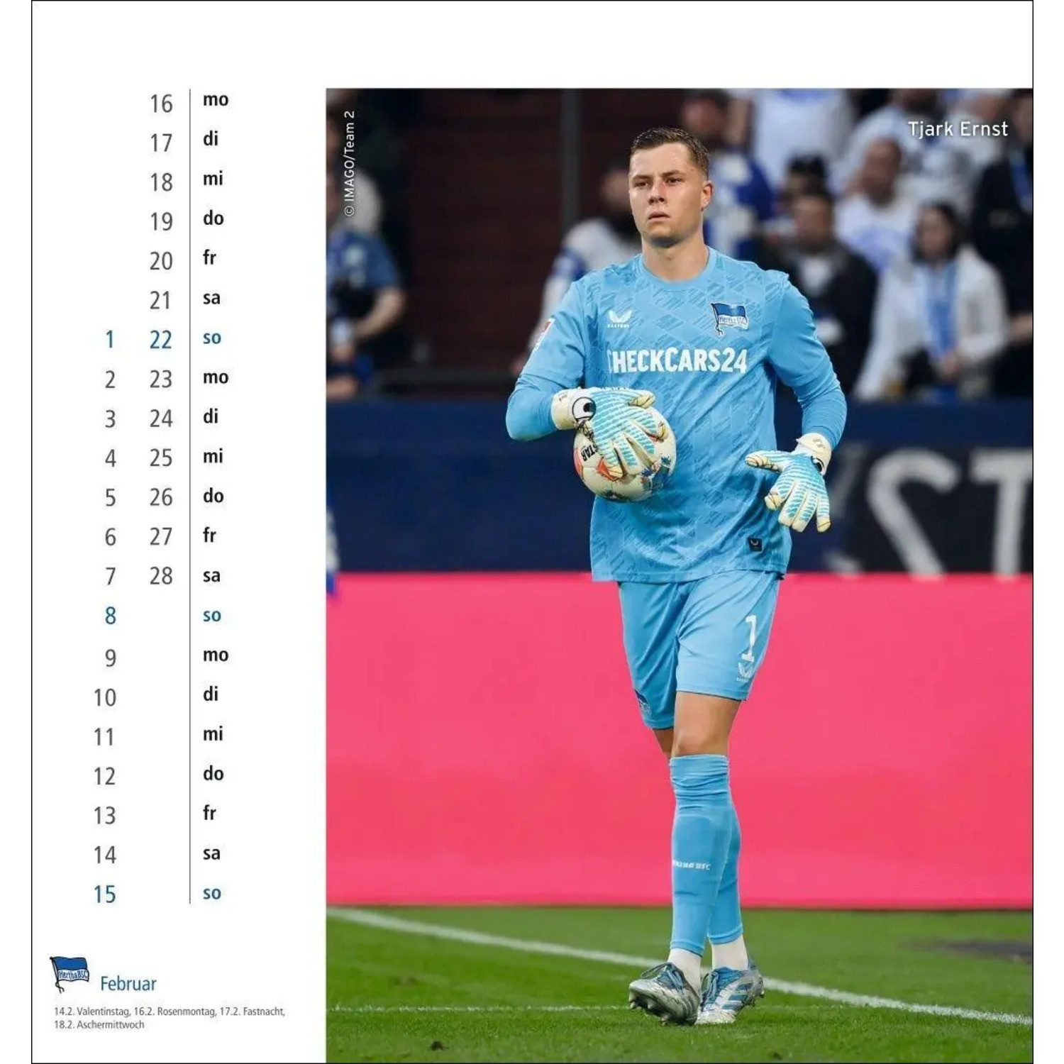 HEYE Wandkalender Hertha BSC Postkartenkalender 2026