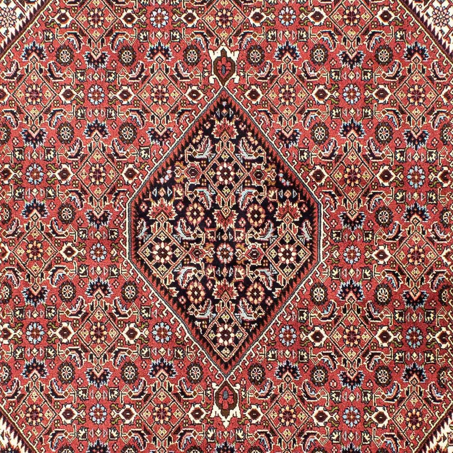 Orientteppich Perser - - mm, Bidjar 250 - cm Zertifikat x Wohnzimmer, mit Höhe: Handgeknüpft, hellrot, morgenland, 15 173 rechteckig, Einzelstück