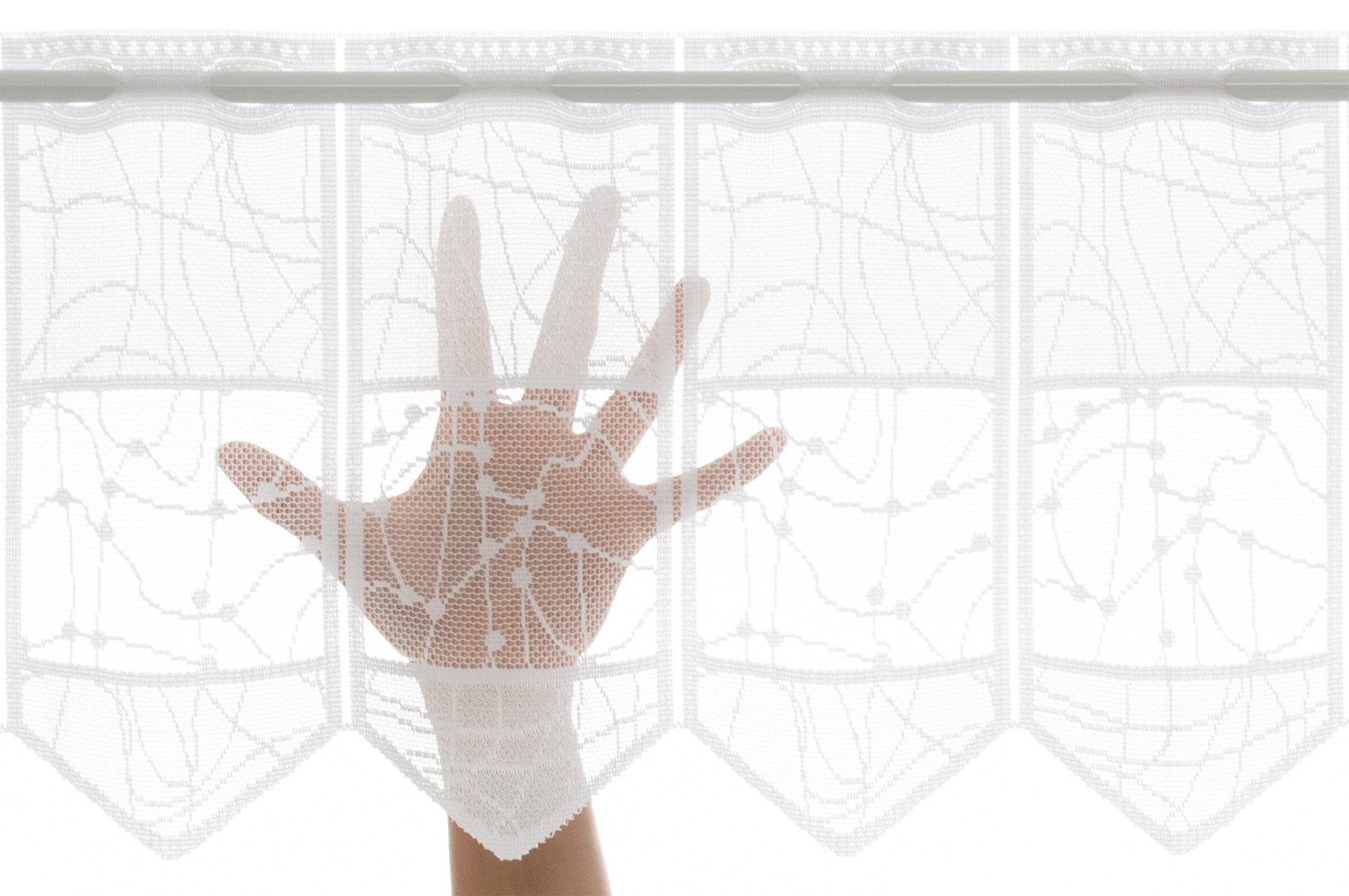 Gardinen Kranzusch Scheibengardine Jacquard mit verschlungen Linien (1 St), Stangendurchzug, transparent, Stablöcher,transparent,verschiedene Höhen, Breiten – Bild 4 von 4