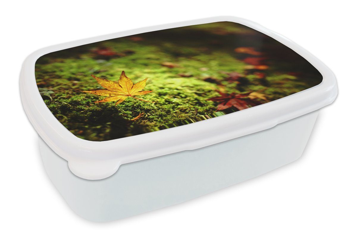 Herbst weiß Lunchbox (2-tlg), Moos, für Jungs für und Mädchen und Laub Kunststoff, Erwachsene, Kinder - - Brotbox Brotdose, MuchoWow