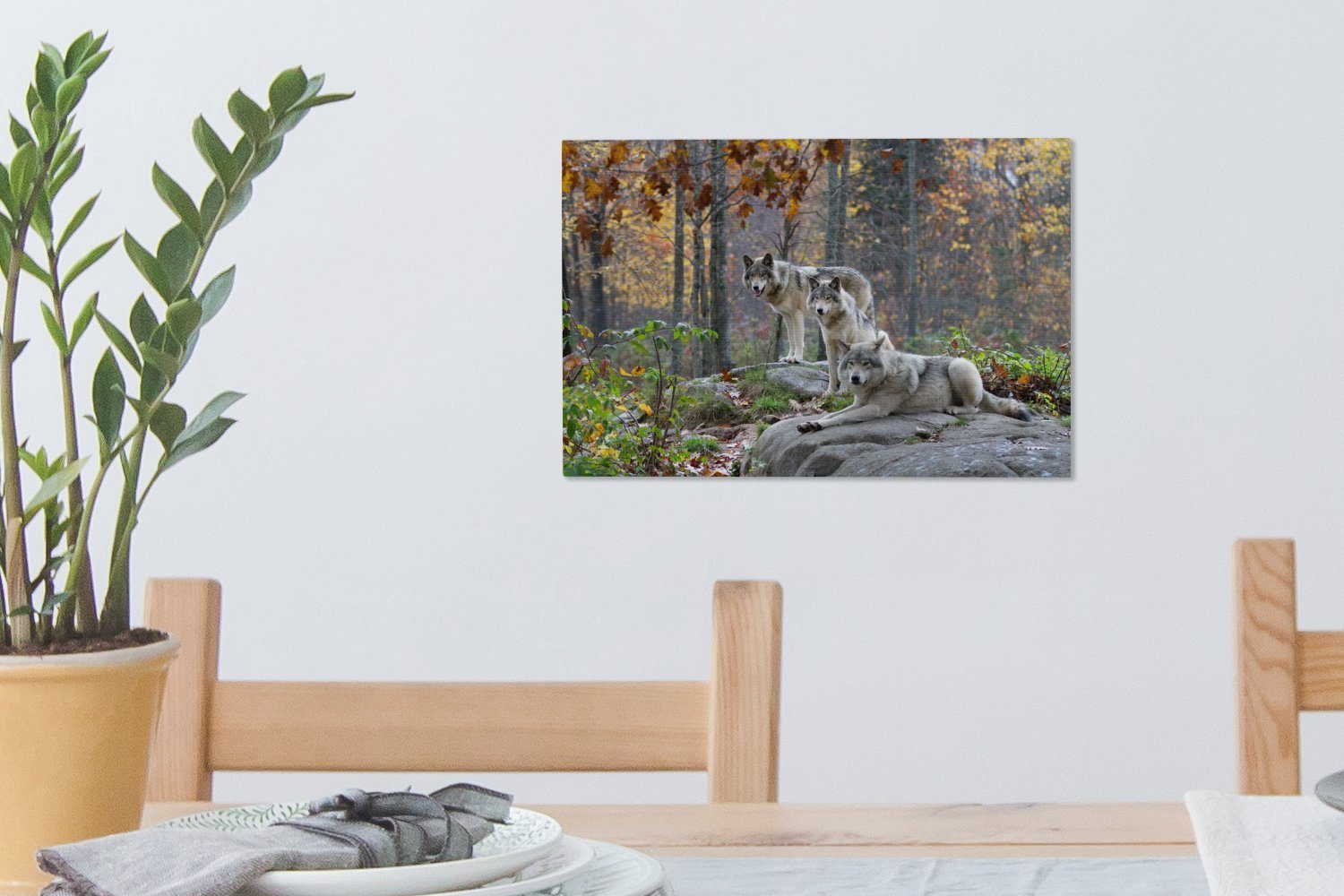 OneMillionCanvasses® Leinwandbild Wolf - Herbst - Wald, Fotodruck (1 St), Leinwand Bilder Klein, Wand Dekoration Aesthetic 30x20 cm – Bild 5 von 5