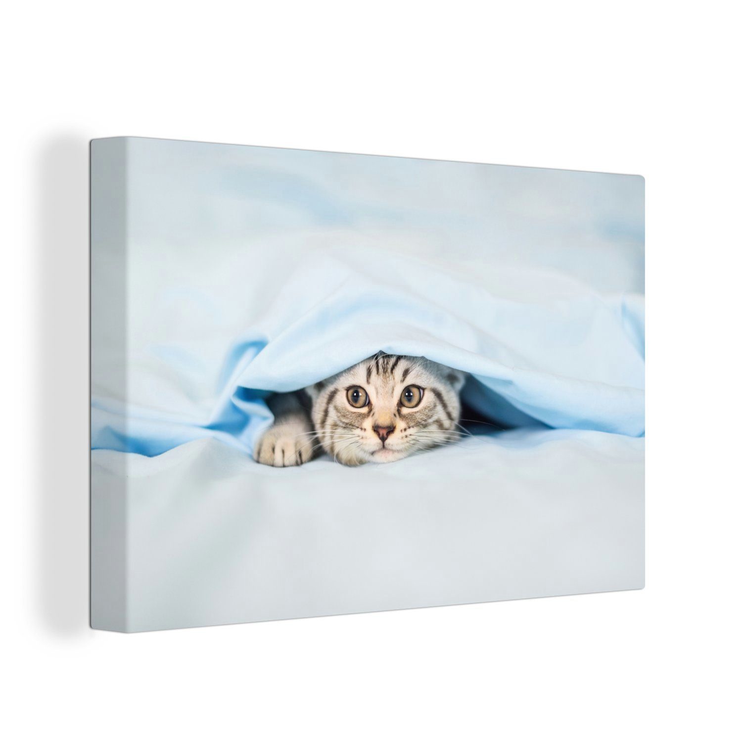 OneMillionCanvasses® Leinwandbild Ein Kätzchen unter einer Decke, (1 St), Wandbild Leinwandbilder, Aufhängefertig, Wanddeko, 30x20 cm