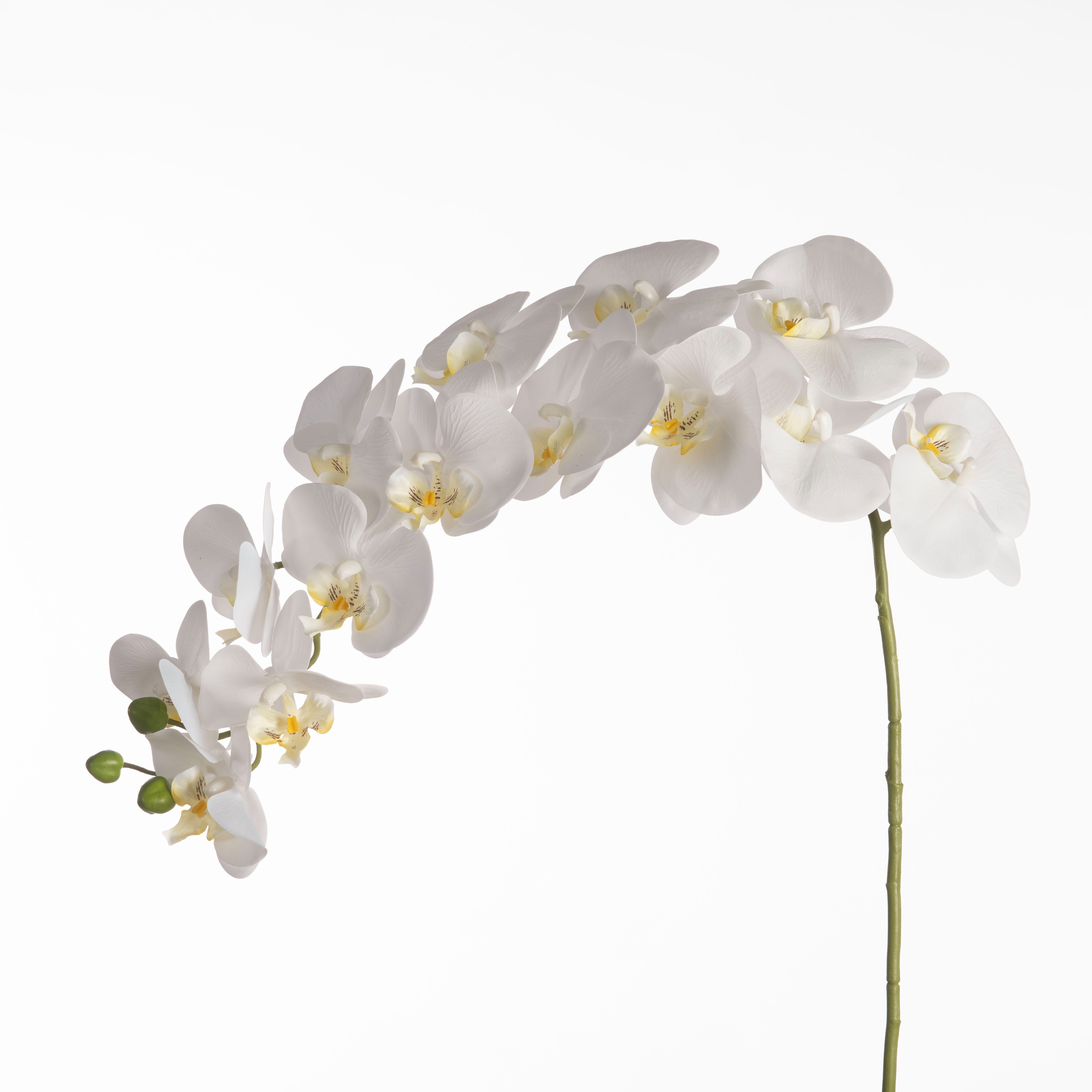 Kunstblume Kunststielblume ORCHIDEE weiß 119 cm, Goods NL, Höhe 119 cm