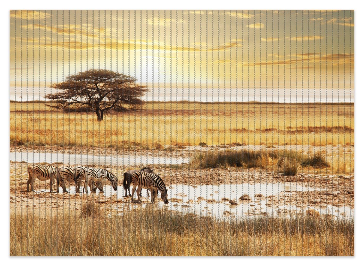 Wallario Schaum-Badematte Safari in Afrika eine Herde Zebras am Wasser, Höhe 5.5 mm, rutschhemmend, geeignet für Fußbodenheizungen, Polymer-Schaum, rechteckig