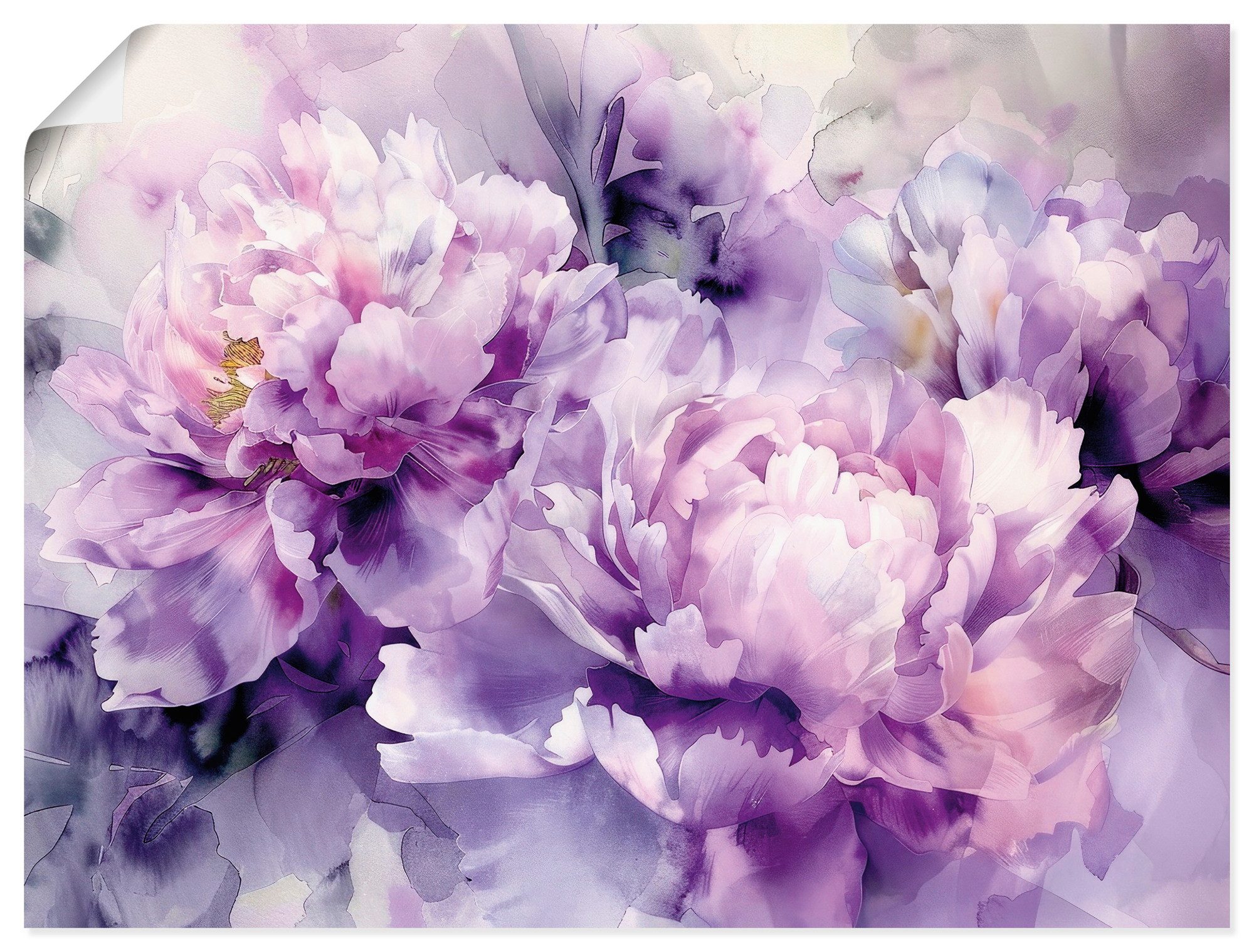 Artland Wandbild Lila Farbene Pfingstrosen Aquarell, (1 St), als Alubild, Leinwandbild, Poster, Wandaufkleber in verschied. Größen