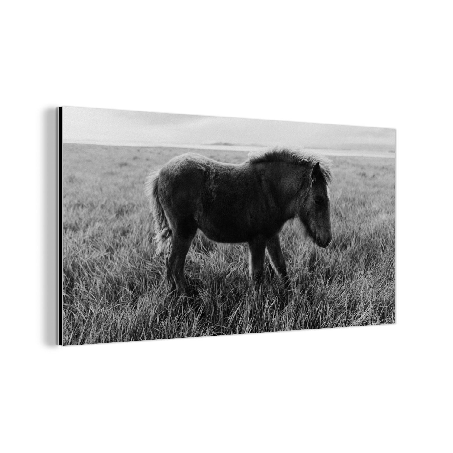 MuchoWow Metallbild Wanddekoration Metall Metallbild Wandkunst Pferd - Gras - Schwarz -, (1 St)
