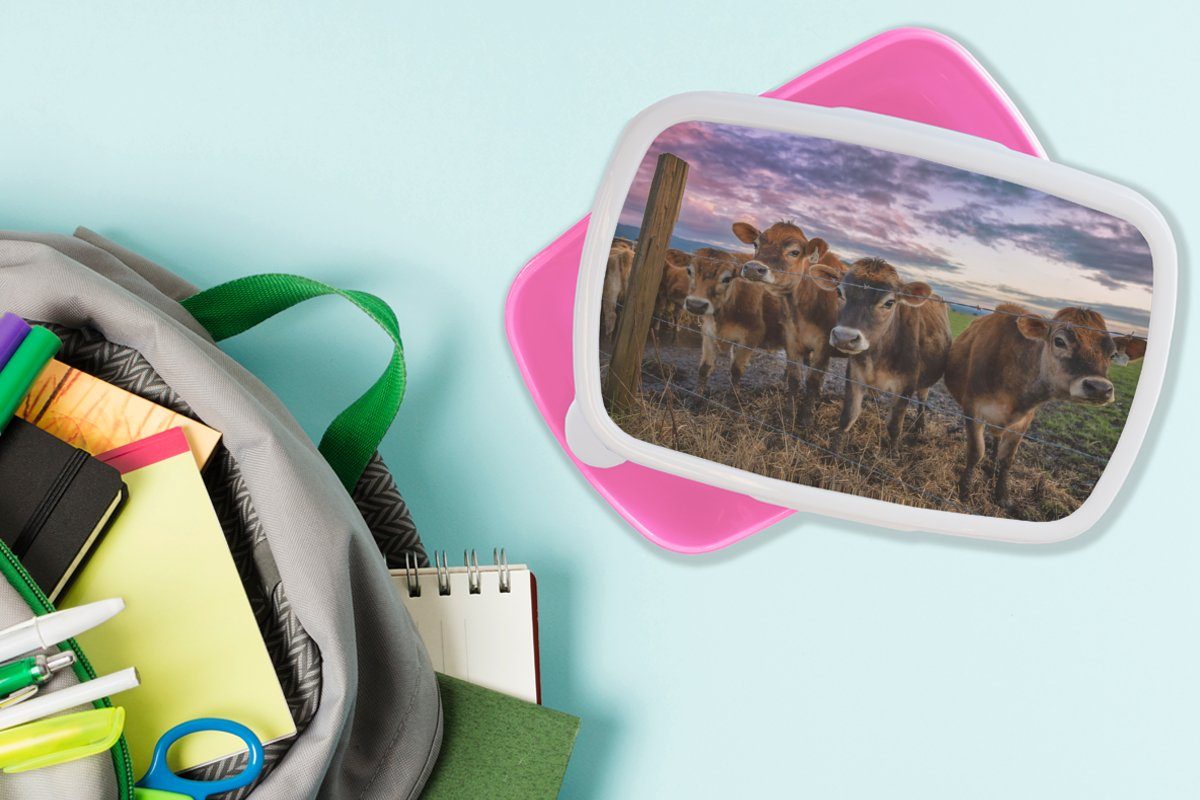 (2-tlg), Brotbox - für Kunststoff Kühe, Mädchen, MuchoWow Tiere Lunchbox Kinder, Snackbox, Erwachsene, rosa Brotdose Kuh - Kunststoff,