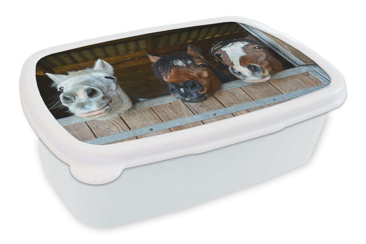 MuchoWow Lunchbox Pferde - Tiere - Beschichtungen - Ställe, Kunststoff, (2-tlg), Brotbox für Kinder und Erwachsene, Brotdose, für Jungs und Mädchen weiß