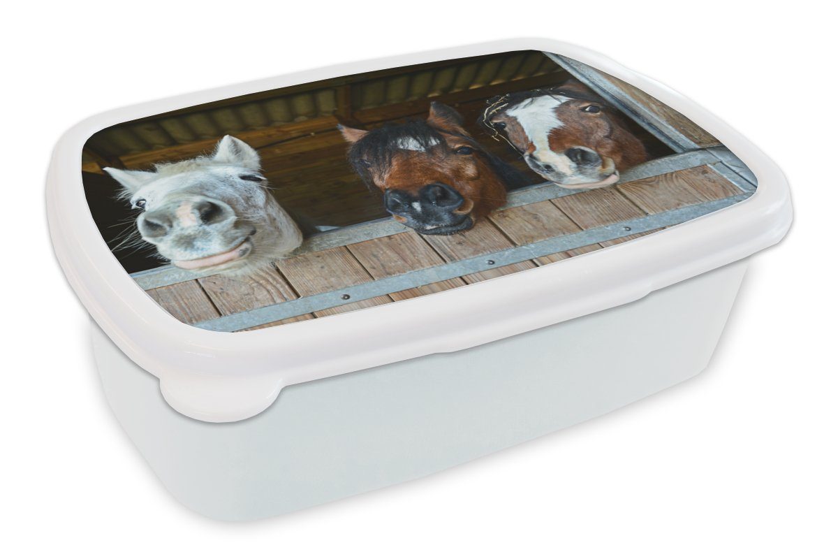 MuchoWow Lunchbox Pferde - Tiere - Beschichtungen - Ställe, Kunststoff, (2-tlg), Brotdose Schule oder Arbeit, Brotbox für Kinder und Erwachsene