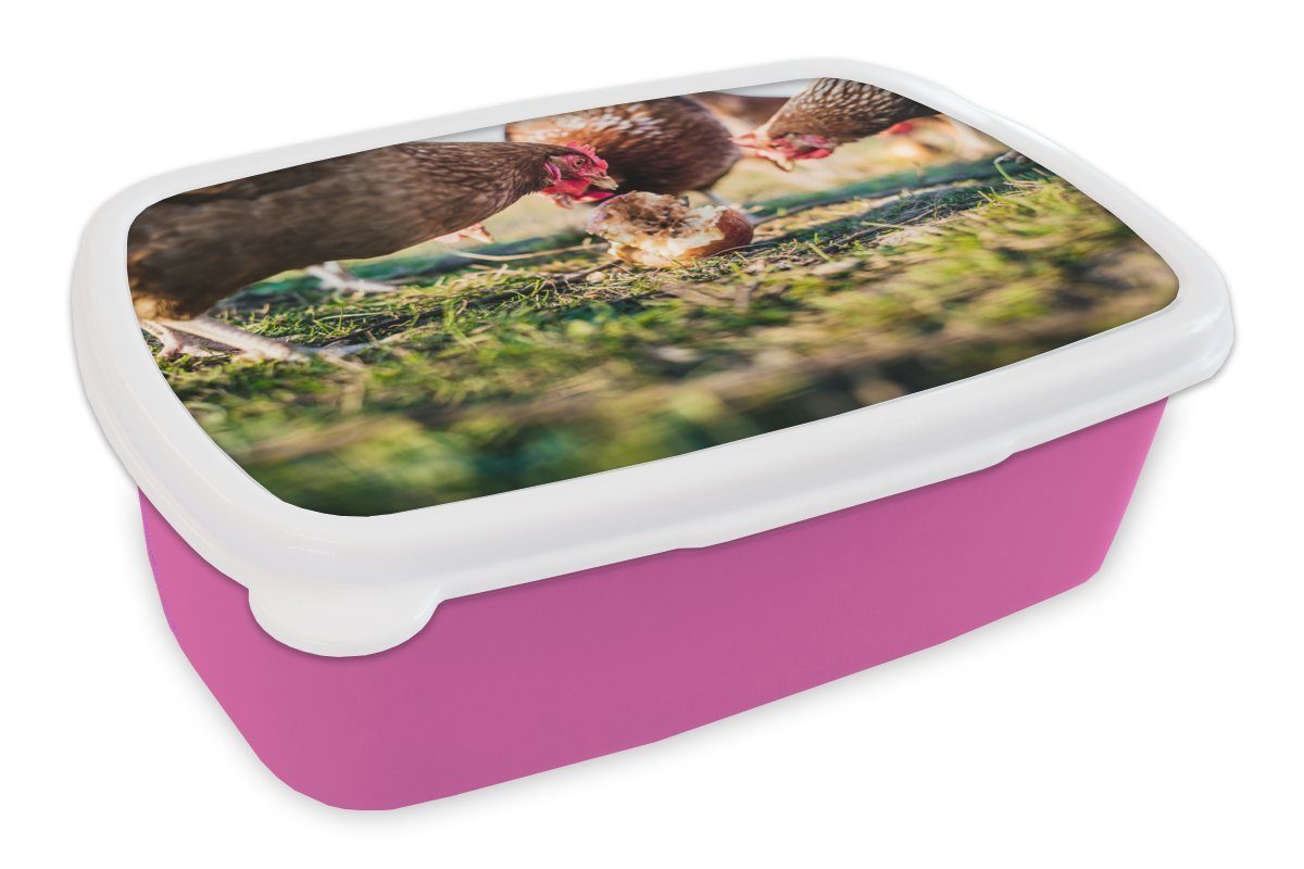 MuchoWow Lunchbox Hühner essen Apfel, Kunststoff, (2-tlg), Brotbox für Erwachsene, Brotdose Kinder, Snackbox, Mädchen, Kunststoff rosa